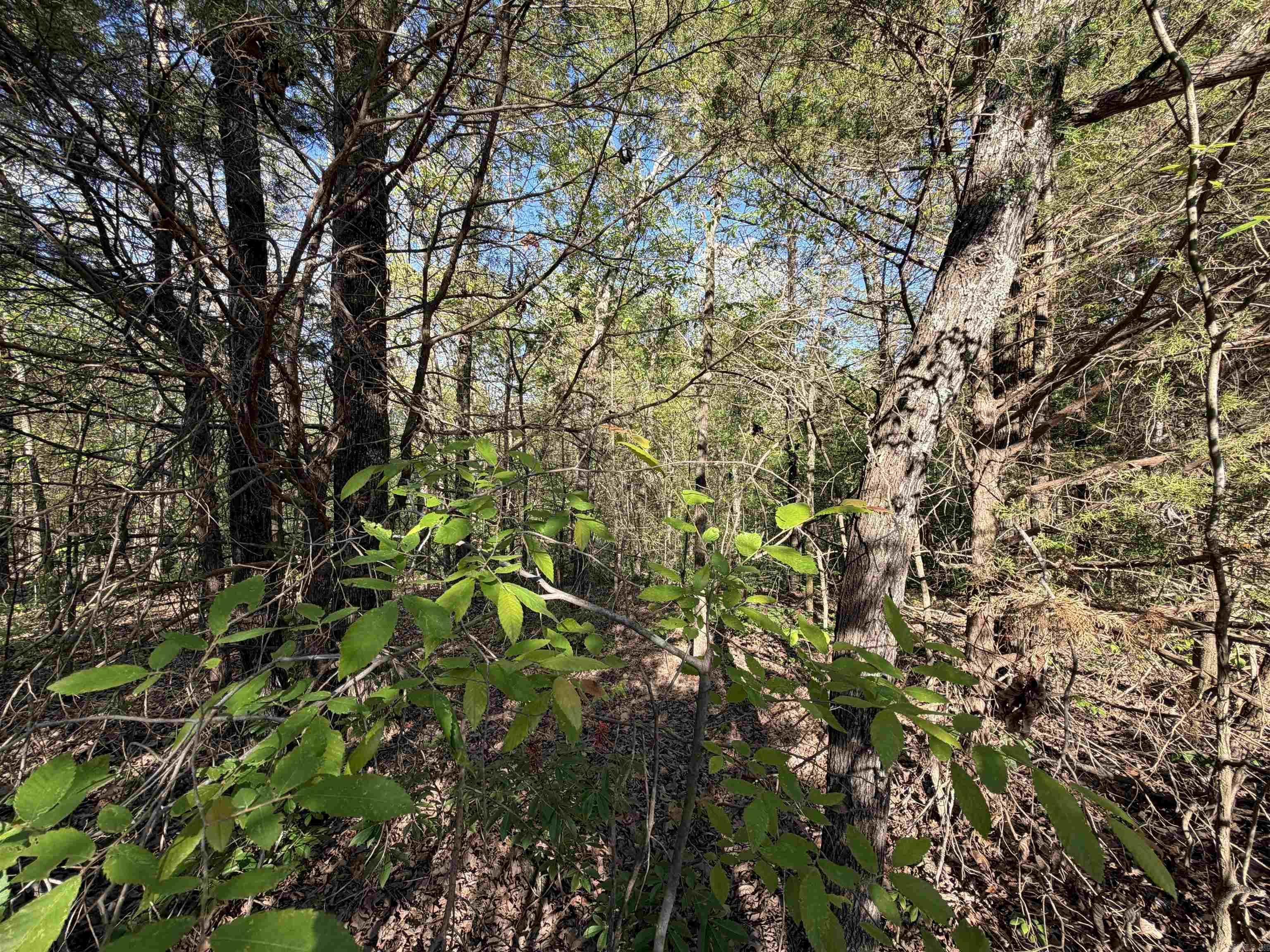 Not in Subdivision - Land