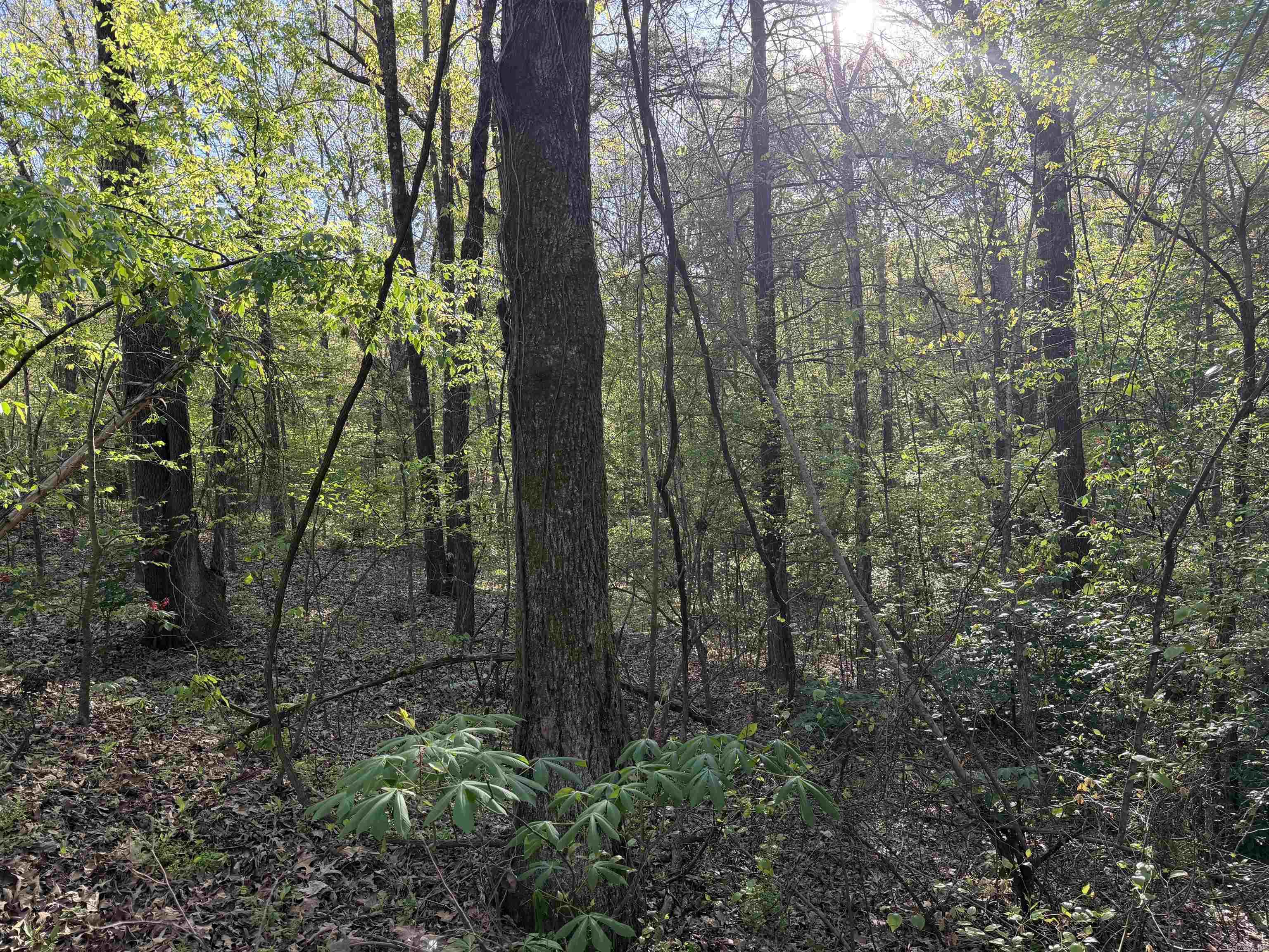 Not in Subdivision - Land