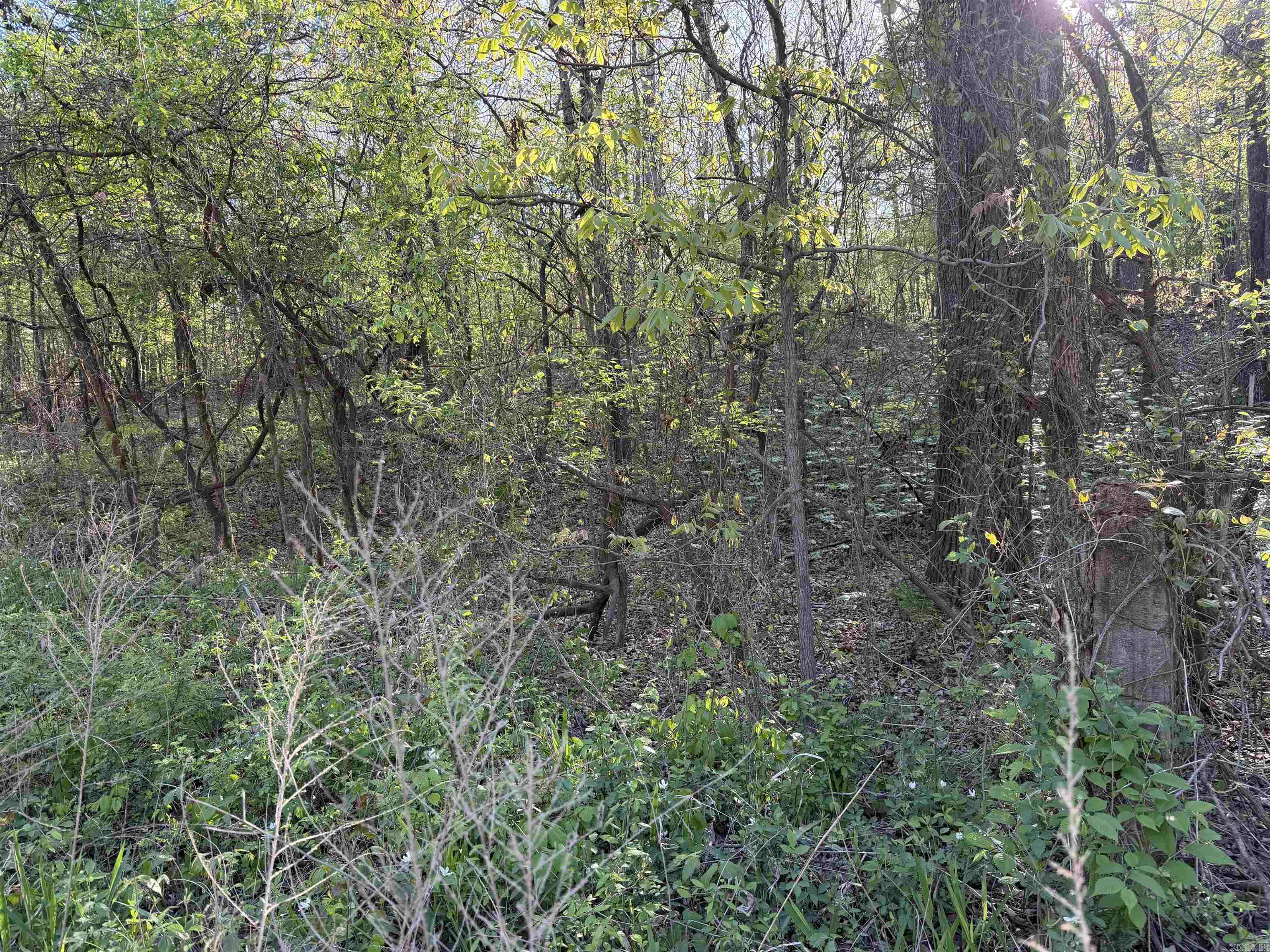 Not in Subdivision - Land