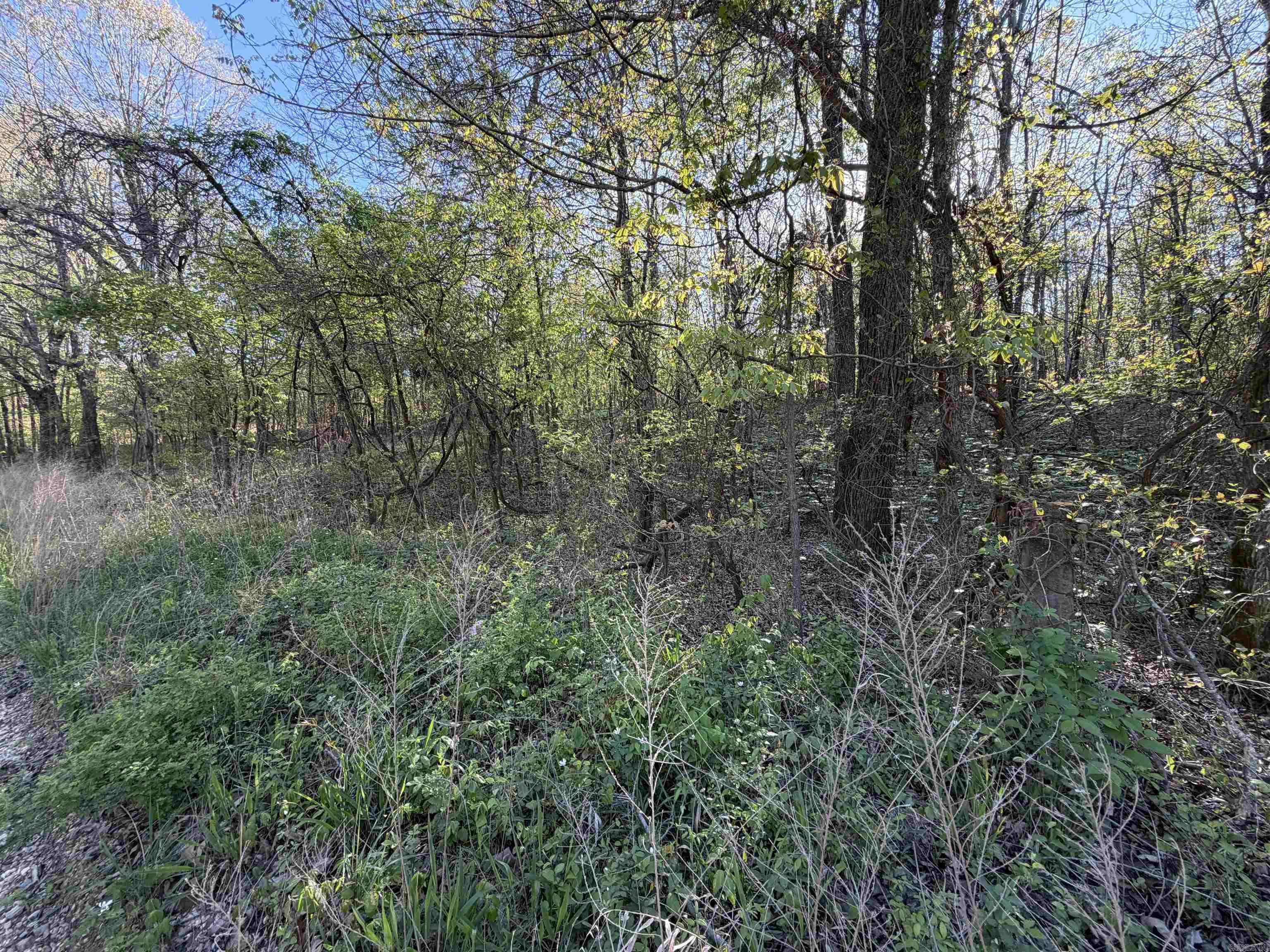 Not in Subdivision - Land