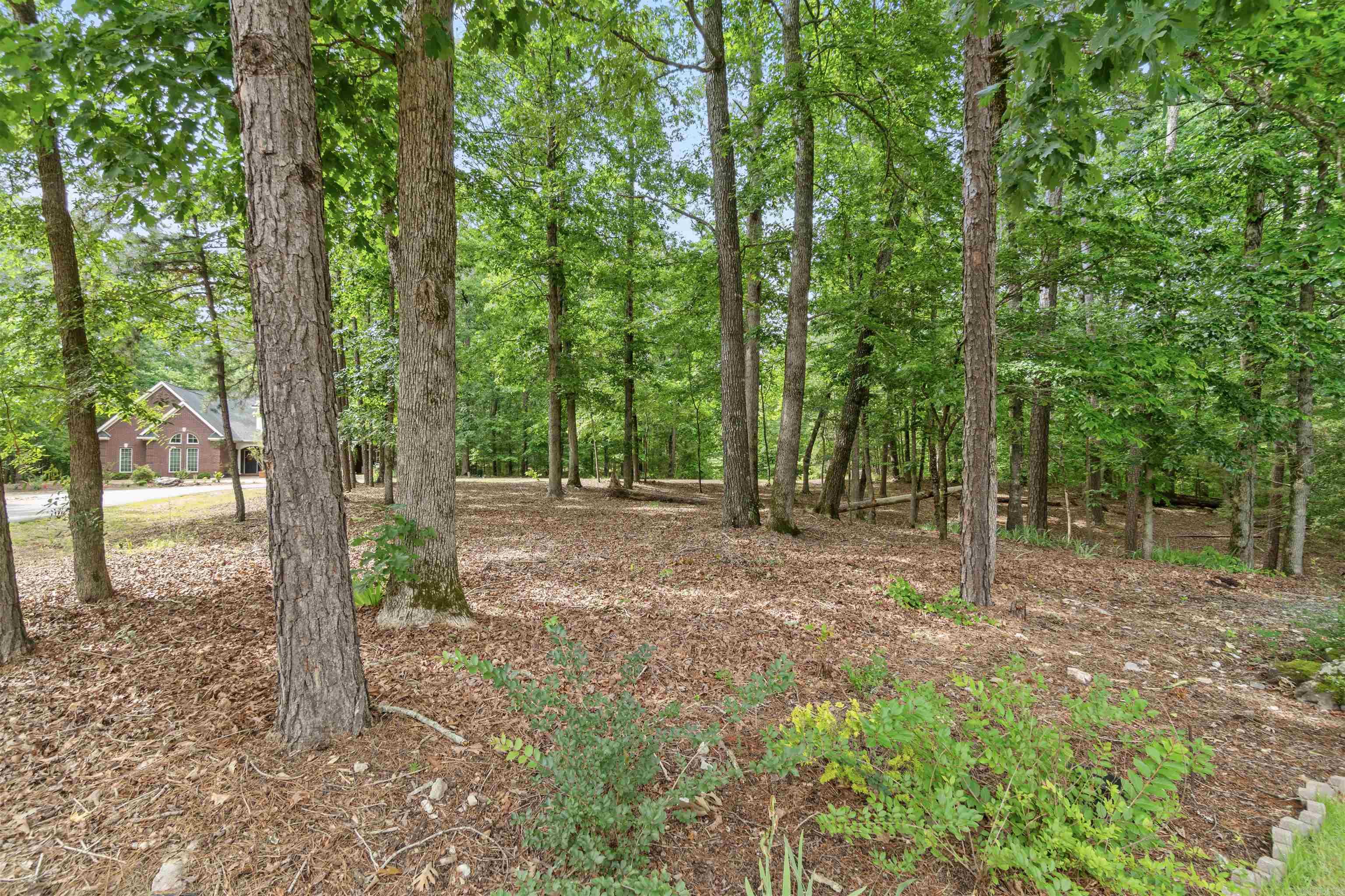 Beautiful home site on corner lot in Lake Balboa neighborhood, the largest lake in Hot Springs Village. House next door is available for sale. Hot Springs Village is a gated community with 9 golf courses; 12 lakes; 30+ miles of walking trails; fitness center; pickleball courts; tennis complex; RV Park; and more! Come see all the Village has to offer! (Pictures 6 through 11 are photos around the Village.)