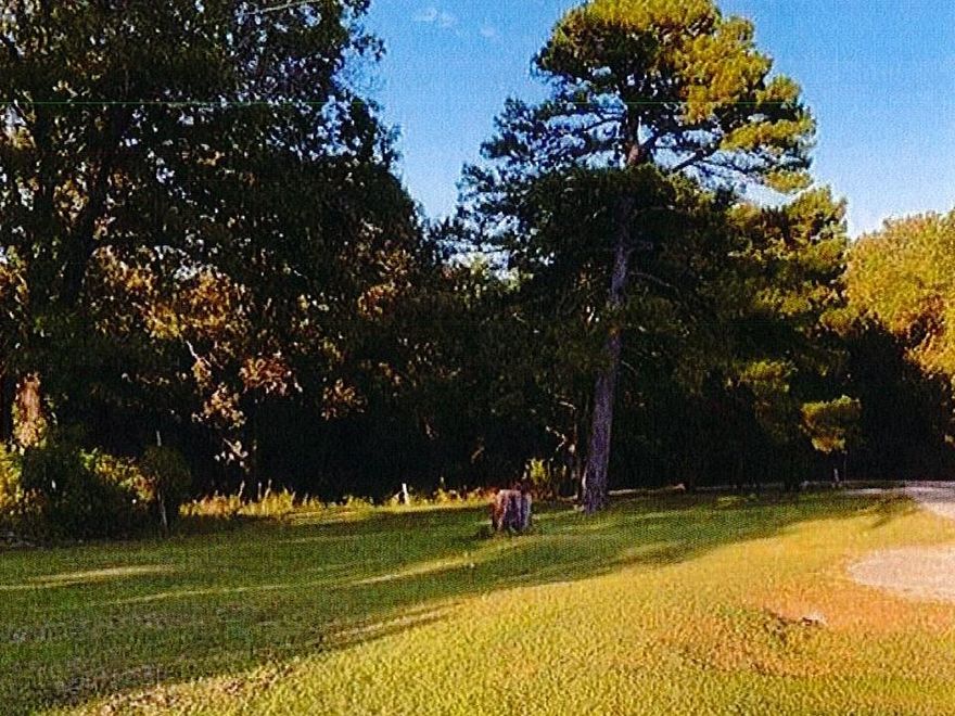 Cleared lot with city water and sewer available. Minutes to White River and Lake Norfork. Very back of property is wooded. Lot is mostly level with gentle slope. Road is paved to property. No mobile homes in restrictions.