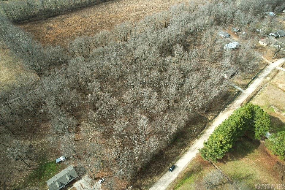 Wood Trace 1st - Land