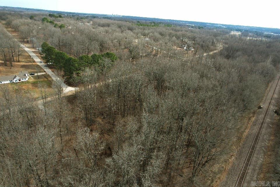 Wood Trace 1st - Land