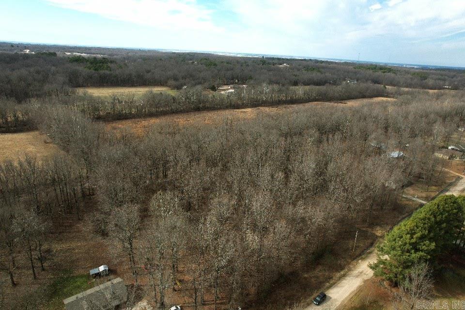 Wood Trace 1st - Land