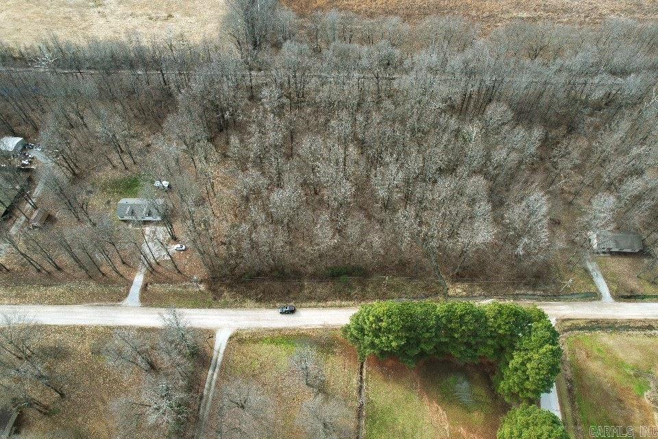 Wood Trace 1st - Land