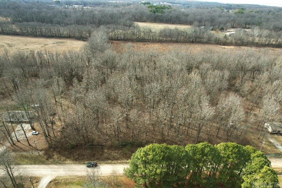 Wood Trace 1st - Land