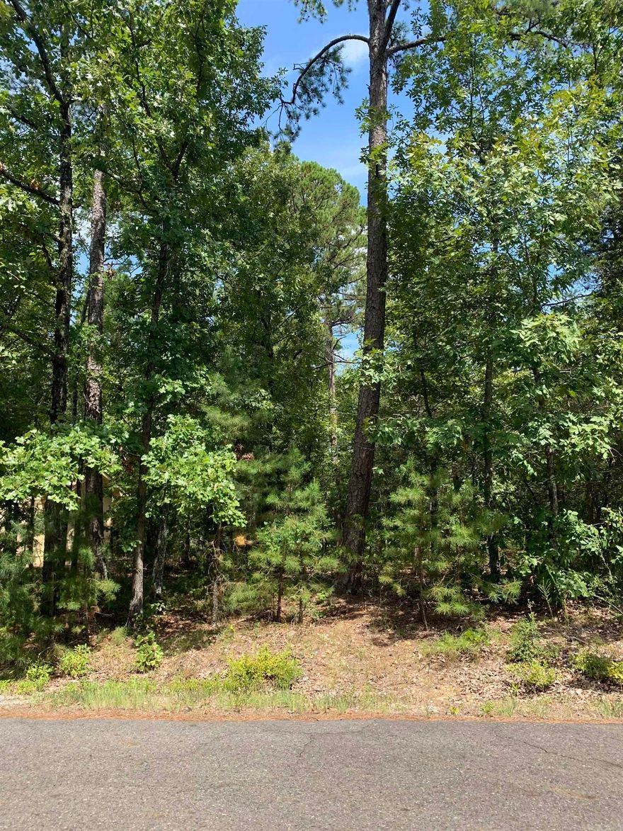 Beautiful East side lot to build your home on! Hot Springs Village the nation's largest gated community offers 9 beautiful golf courses, 11 recreational lakes with over 30 miles of trails for walking and hiking! New buyers to the Village have a $300.00 buy in fee payable to the POA at closing.