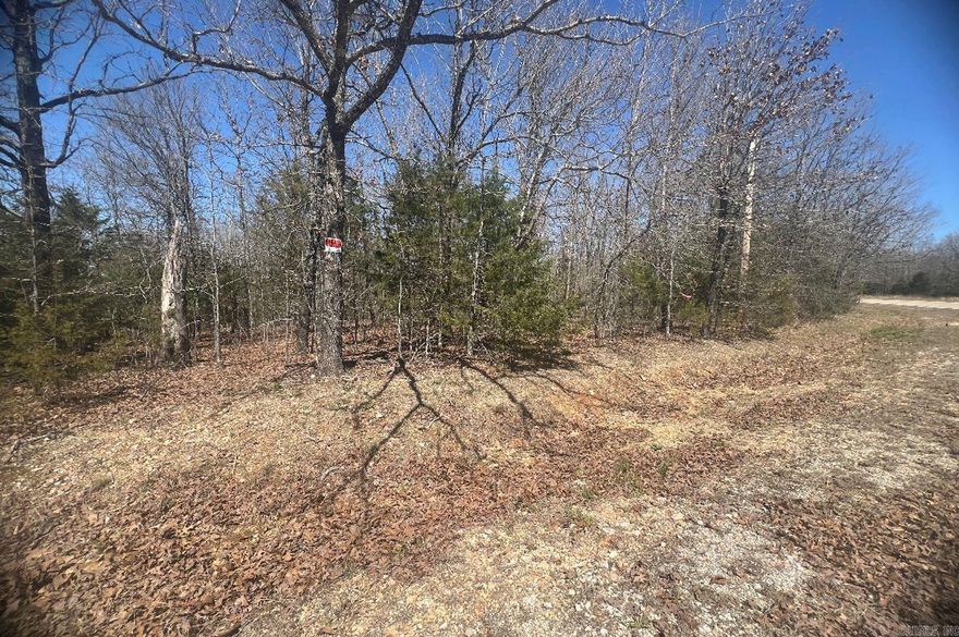 Owner Financing avaliable- Build your dream home on this 0.45-acre lot outside of Horseshoe Bend. Corner Lot! This beautiful, wooded lot is located just a few minutes' walk to Pioneer Lake. You also have Crown and Diamond Lake a few miles down the road. This gives you hours of fun-filled water activities to do. Turkey Mountain Golf Couse is 1 mile away for those Golf lovers. Horseshoe Bend has gorgeous sun and warm weather, with a slower lifestyle way of life. Or hit the road for a road trip to Little Rock, Memphis, or Springfield; all three cities are around a 3-hour drive. This would be a great way to get out and explore for the day.  The Horseshoe Bend Water Department will have Water & Sewer information for you concerning water service and trash service. That number is 870-670-5885 or you can email at water@cityhsb.org The electricity is provided by North Arkansas Electric Cooperative. Their number is 870-895-3221.  Horseshoe Bend is also ATV friendly, with a permit. They have their own law enforcement, a private airport/airport strip, recycling center, and TELECARE program for the elderly. All within 10-minutes!