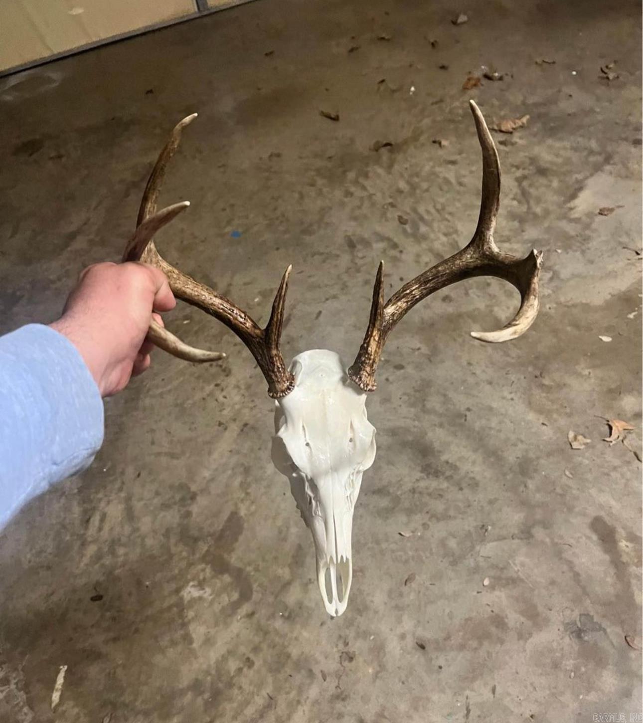 Metes & Bounds - Land