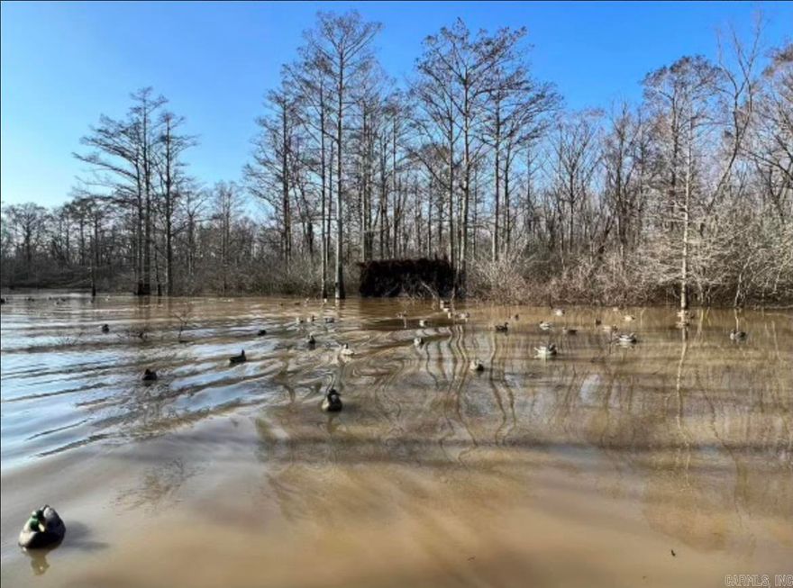 Looking for a affordable waterfowl and deer hunting tract? This is the place. Located in the St. Francis river bottoms, seasonal river flooding of bottomland hardwoods have created a haven for waterfowl and waterfowl hunters. This tract has a great duck hole with a pontoon blind that has been succesful in the past surrounded by old cypress trees. The east side of the property is more flood prone and the west side stays dry for greater lengths of time creating a travel corridor for deer as well as areas for food plots. Trail system on the west side makes access easy for working the land and recreating. St. Francis Sunken land WMA located a short distance away gives you access to thousands of acres of public lands. Located just a short distance from the ammentites of Trumann and Jonesboro, AR.