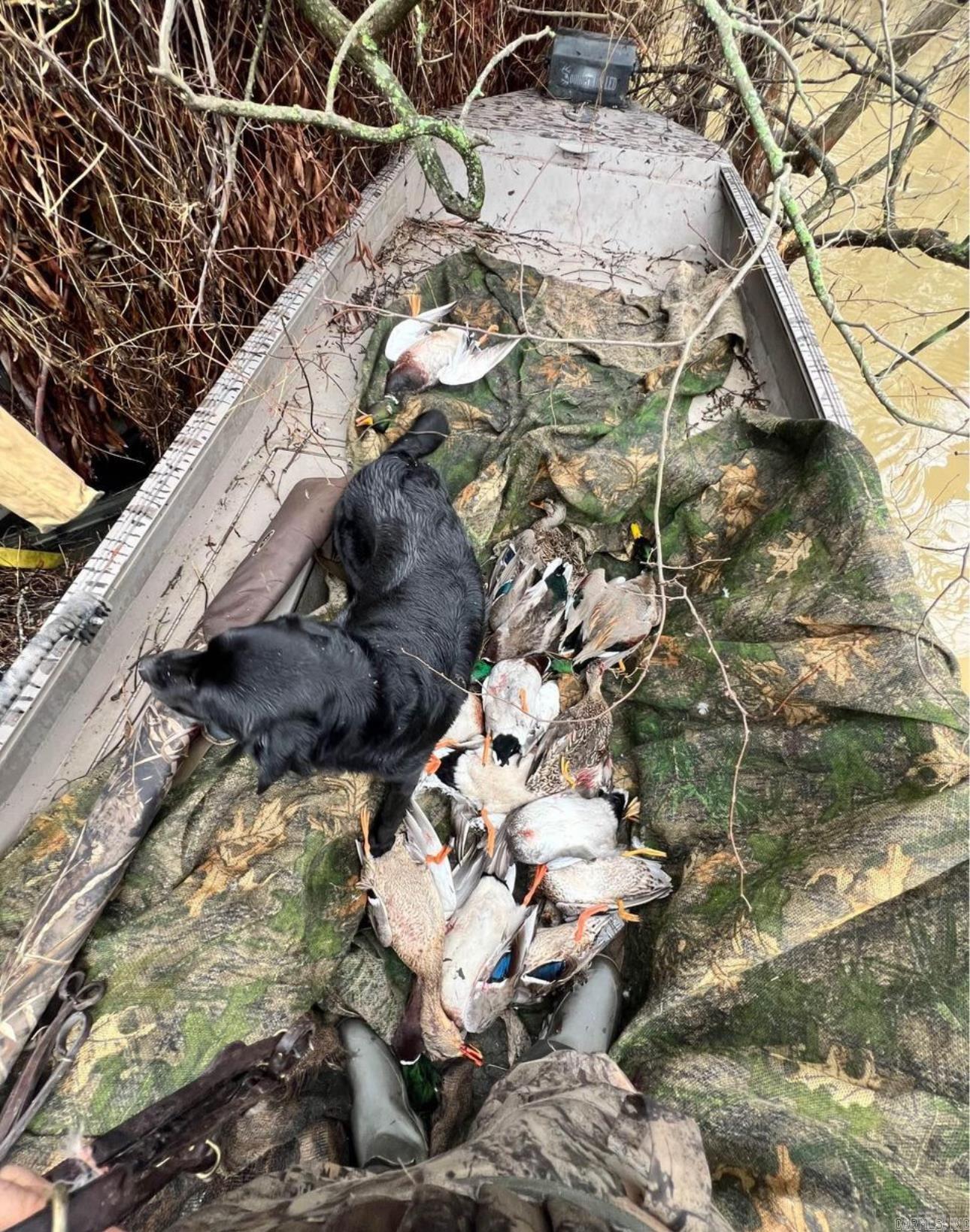 Metes & Bounds - Land