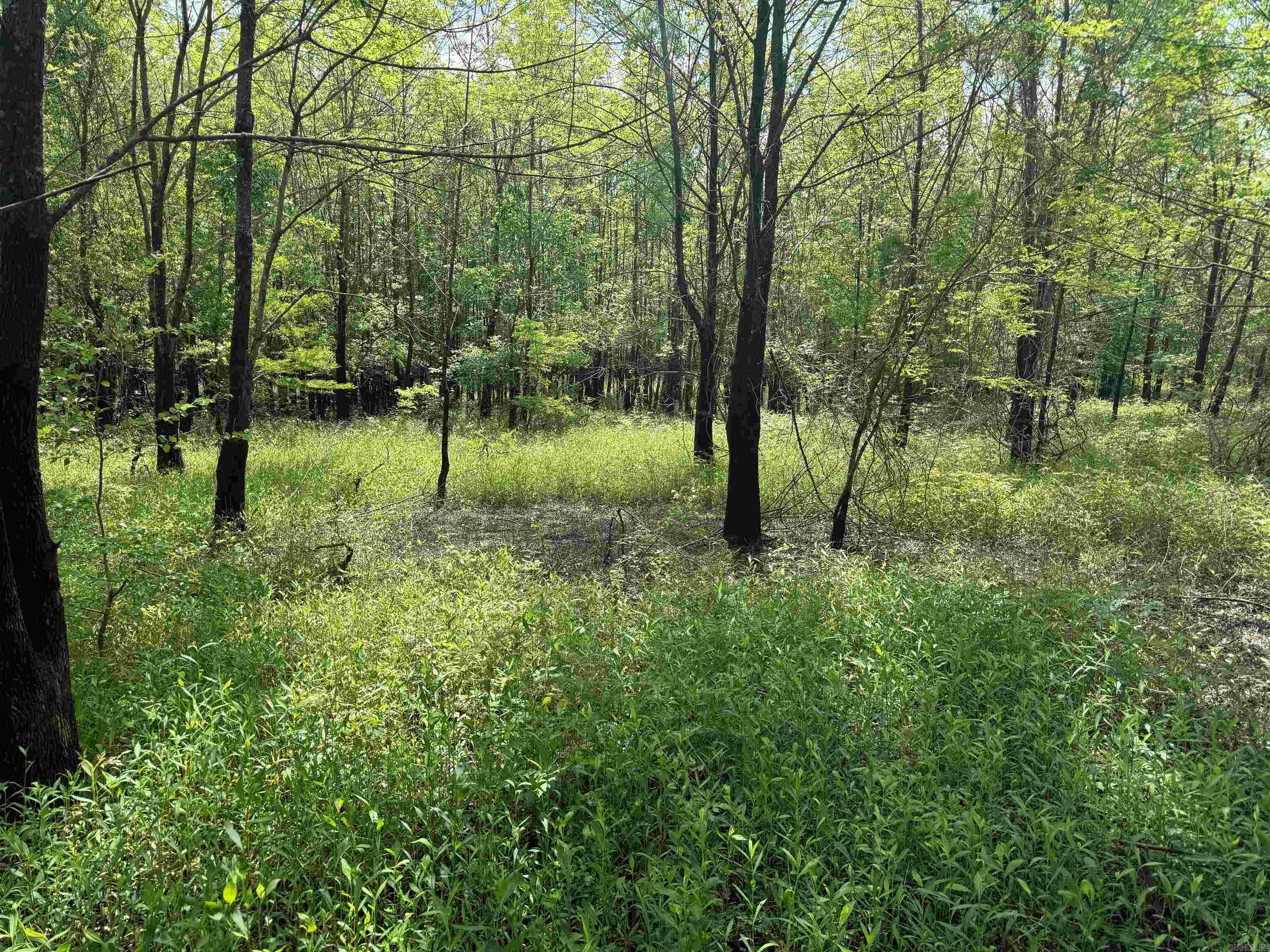 Metes & Bounds - Land