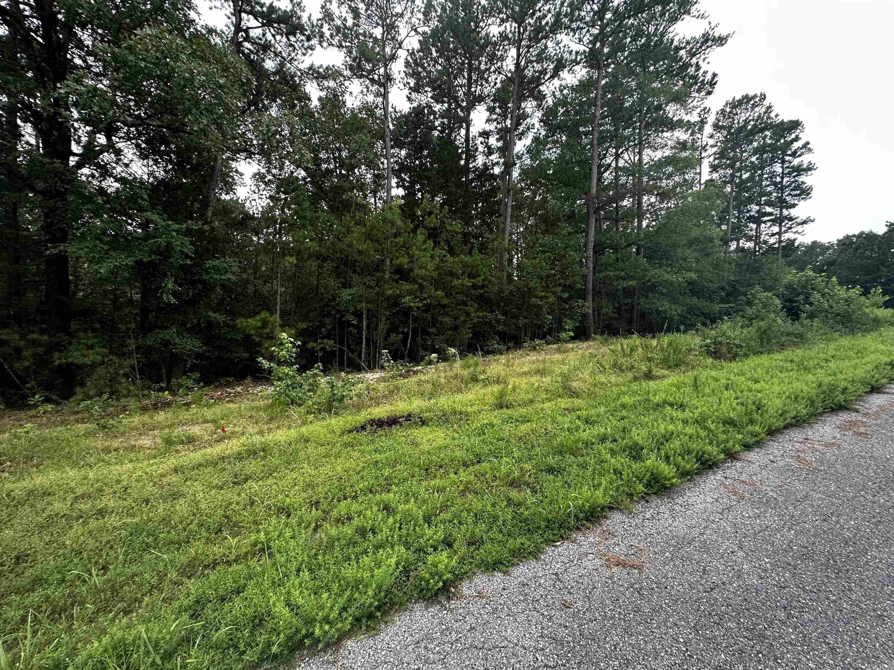 Great lot for building.Nice location. Utilities are underground. Mineral rights do not convey.