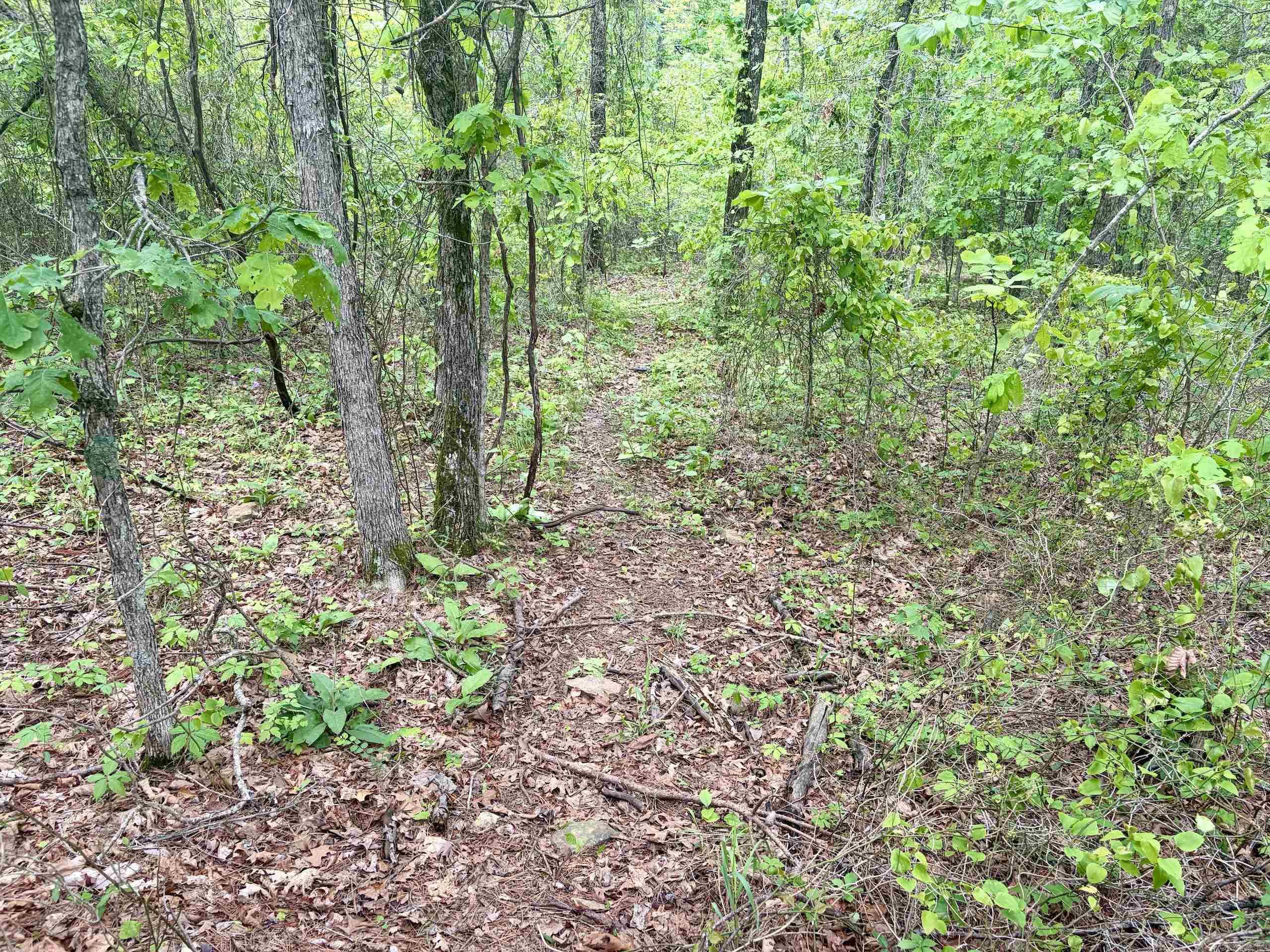 Not in Subdivision - Land