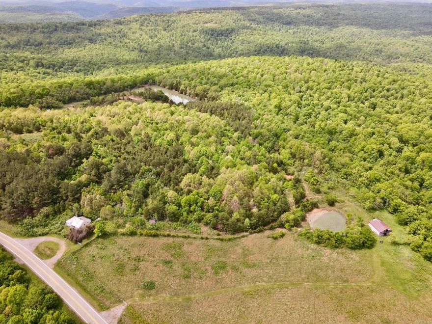 Properties like this are rare. This historic Ozark homestead, built in 1935, sits on a unique tract completely surrounded by the Ozark–St. Francis National Forest, offering unmatched privacy and direct access to thousands of acres of public land. The original home remains and could be refurbished into a cabin or retreat. With Highway 16 frontage and utilities available, the property combines accessibility with seclusion. Set along a ridge, it offers scenic views in multiple directions and several prime building sites. Water features include a flowing spring, two ponds, and a private stocked lake, providing exceptional recreational and long-term value. The land offers a mix of open pasture and mature timber, ideal for livestock, recreation, or enjoyment. The property supports deer, turkey, and black bear and is well-suited for hunting. It is fully fenced with gated access and includes an established trail system. A former rock quarry serves as a private shooting range. Mineral rights convey, making this an outstanding estate, farm, hunting, or legacy property.