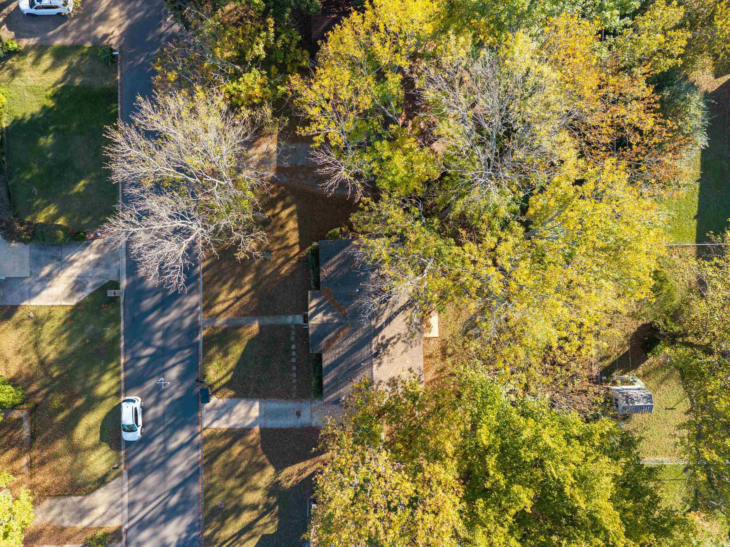 CEDARIDGE - Residential