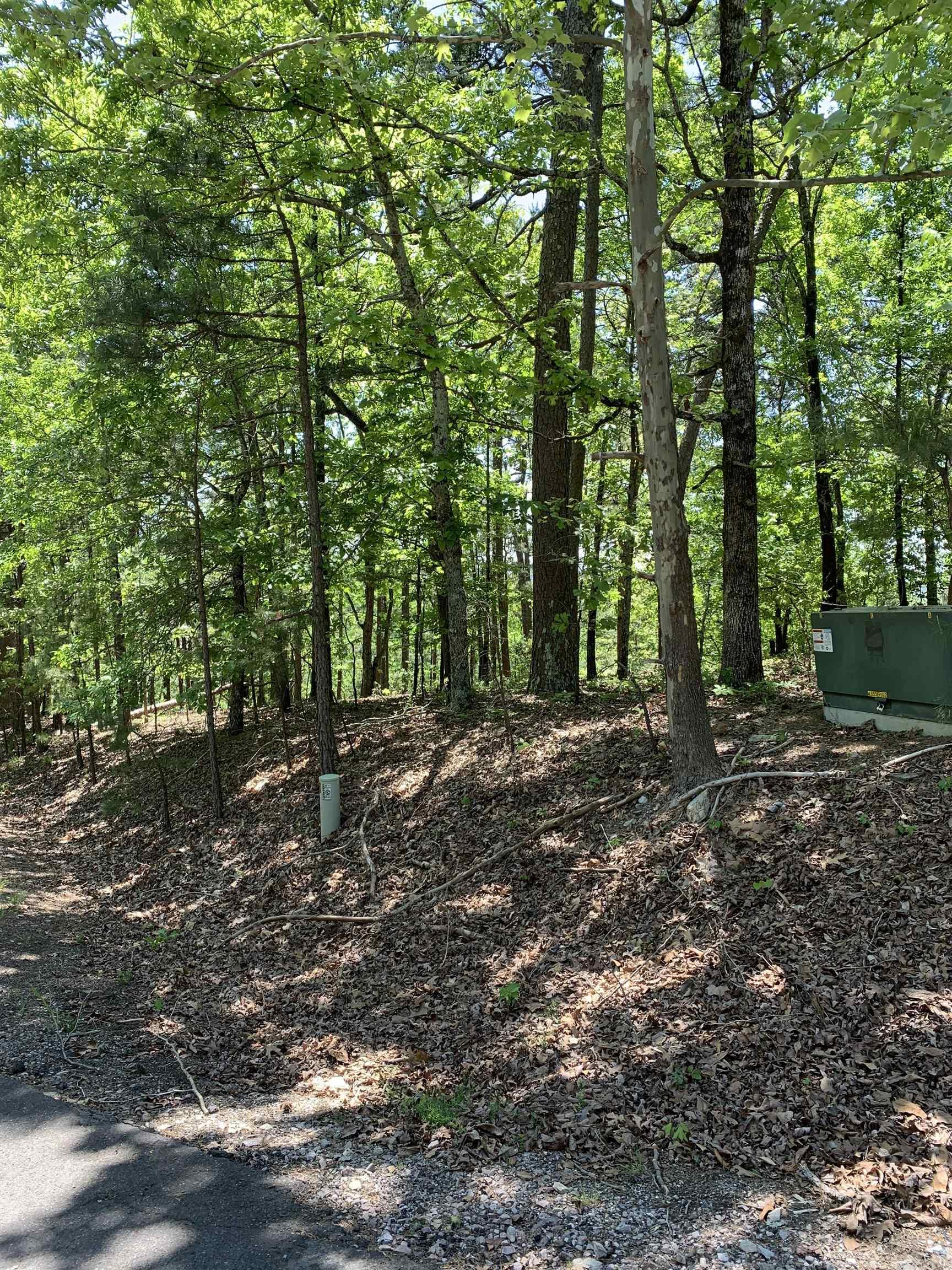 Beautiful buildable Lot with distant mountain views in the back. Very peaceful neighborhood. The nation's largest gated community offers 9 beautiful golf courses, 11 recreational lakes with over 30 miles of trails for walking and hiking! New buyers to the Village have a $300.00 buy in fee payable to the POA at closing.