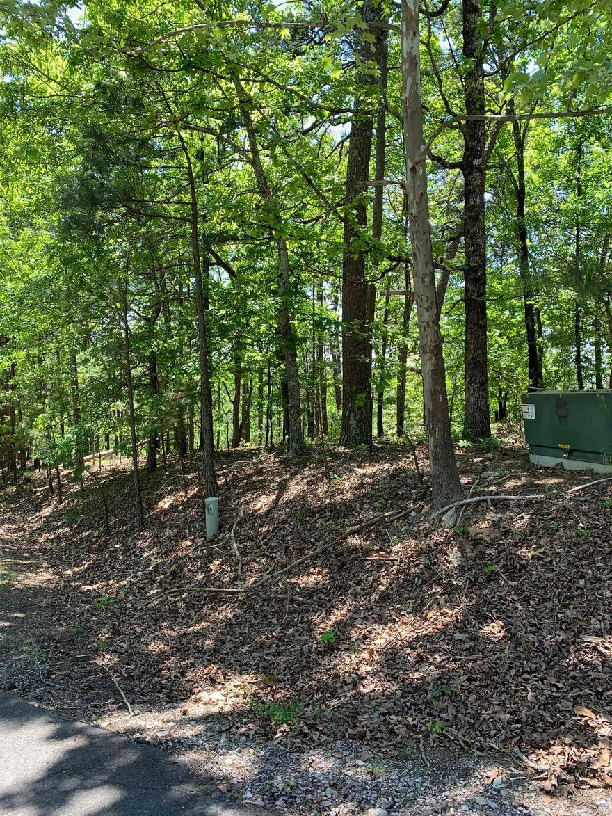 Beautiful buildable Lot with distant mountain views in the back. Very peaceful neighborhood. The nation's largest gated community offers 9 beautiful golf courses, 11 recreational lakes with over 30 miles of trails for walking and hiking! New buyers to the Village have a $300.00 buy in fee payable to the POA at closing.