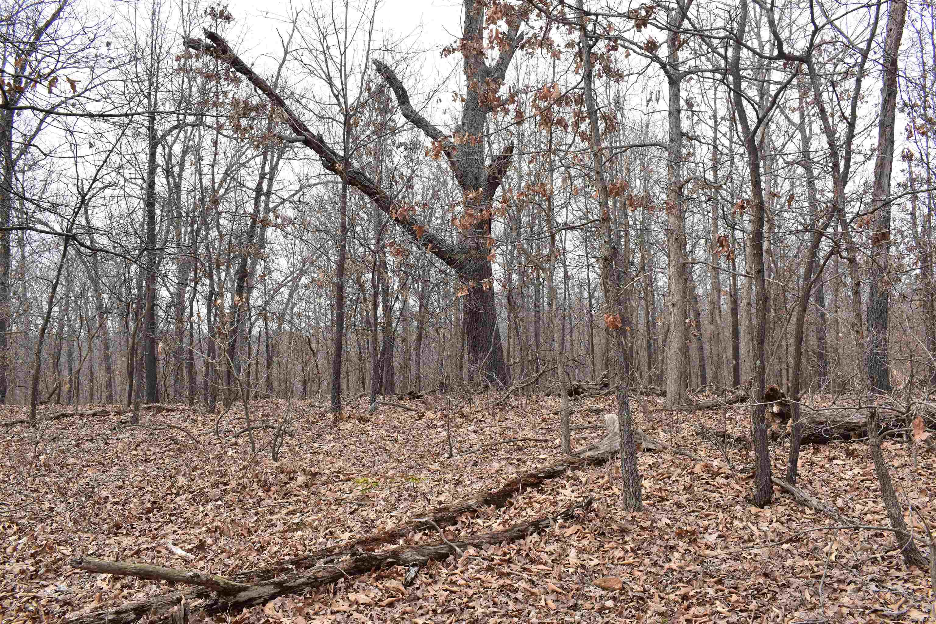 Metes & Bounds - Land