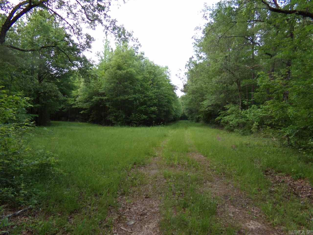 Perryville Original - Land