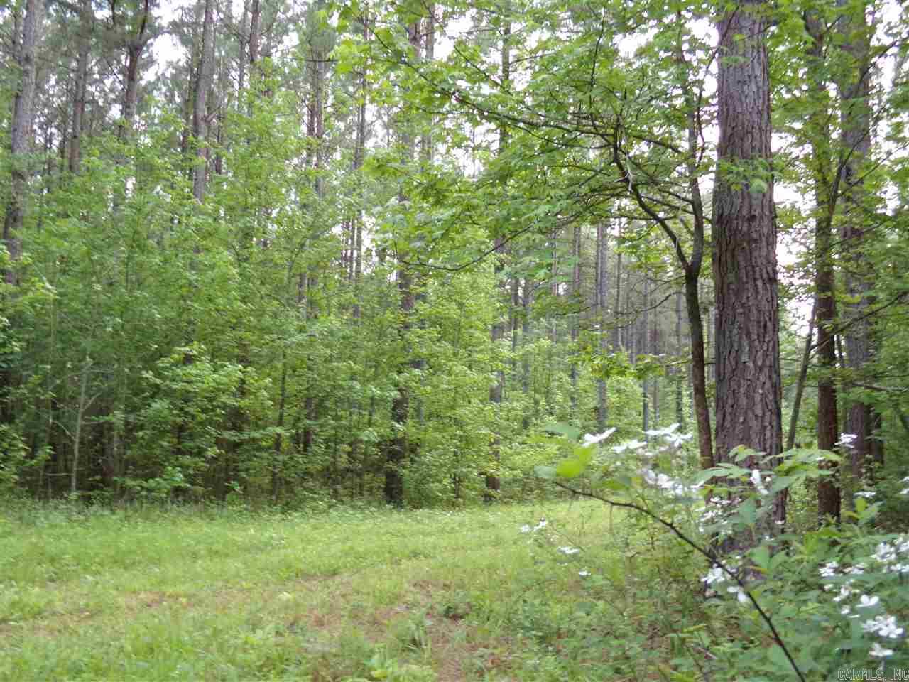 Perryville Original - Land