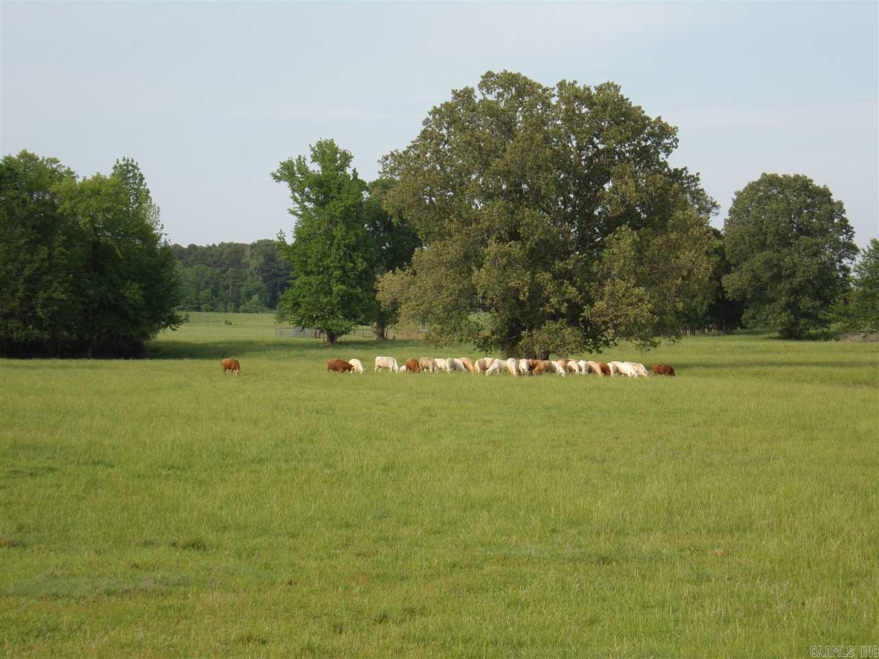 Perryville Original - Land