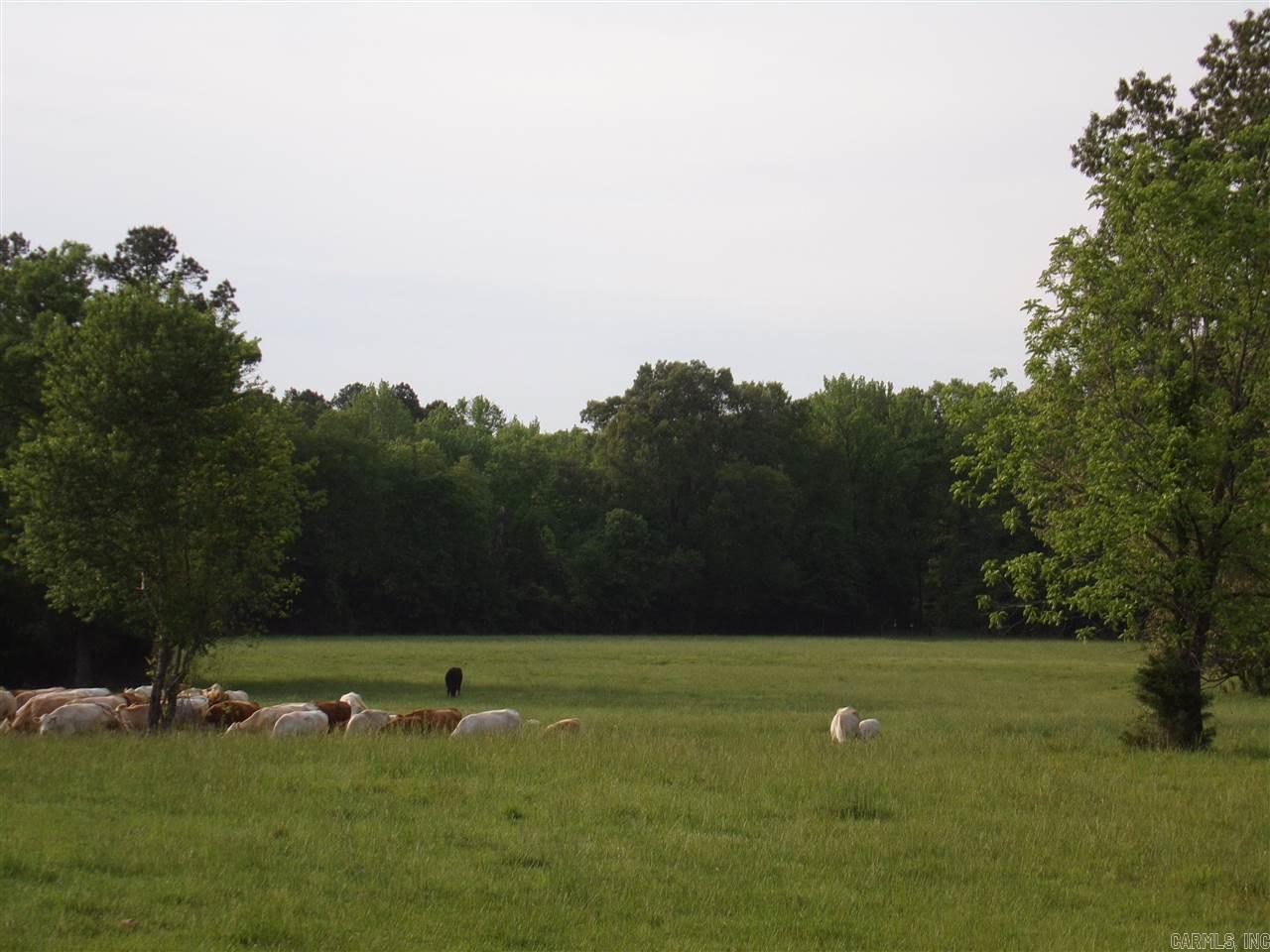Perryville Original - Land