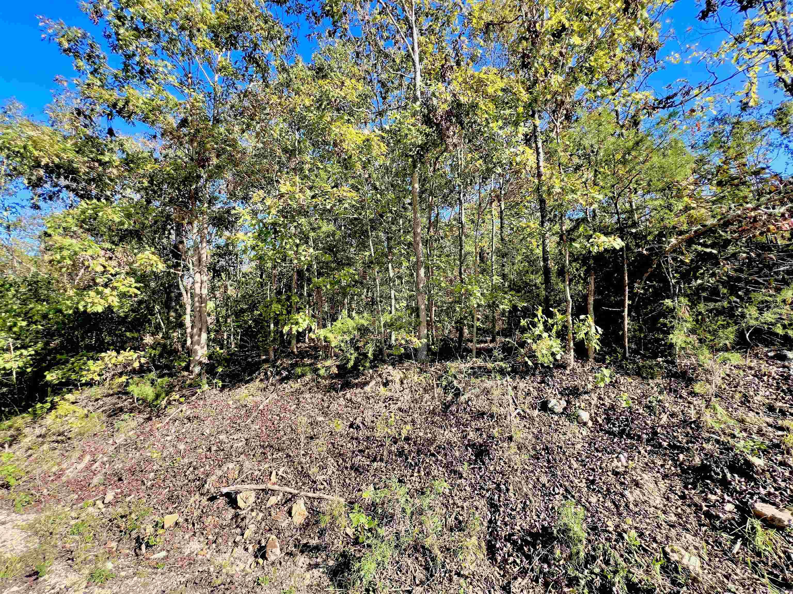 Briar Cliff Estates - Land