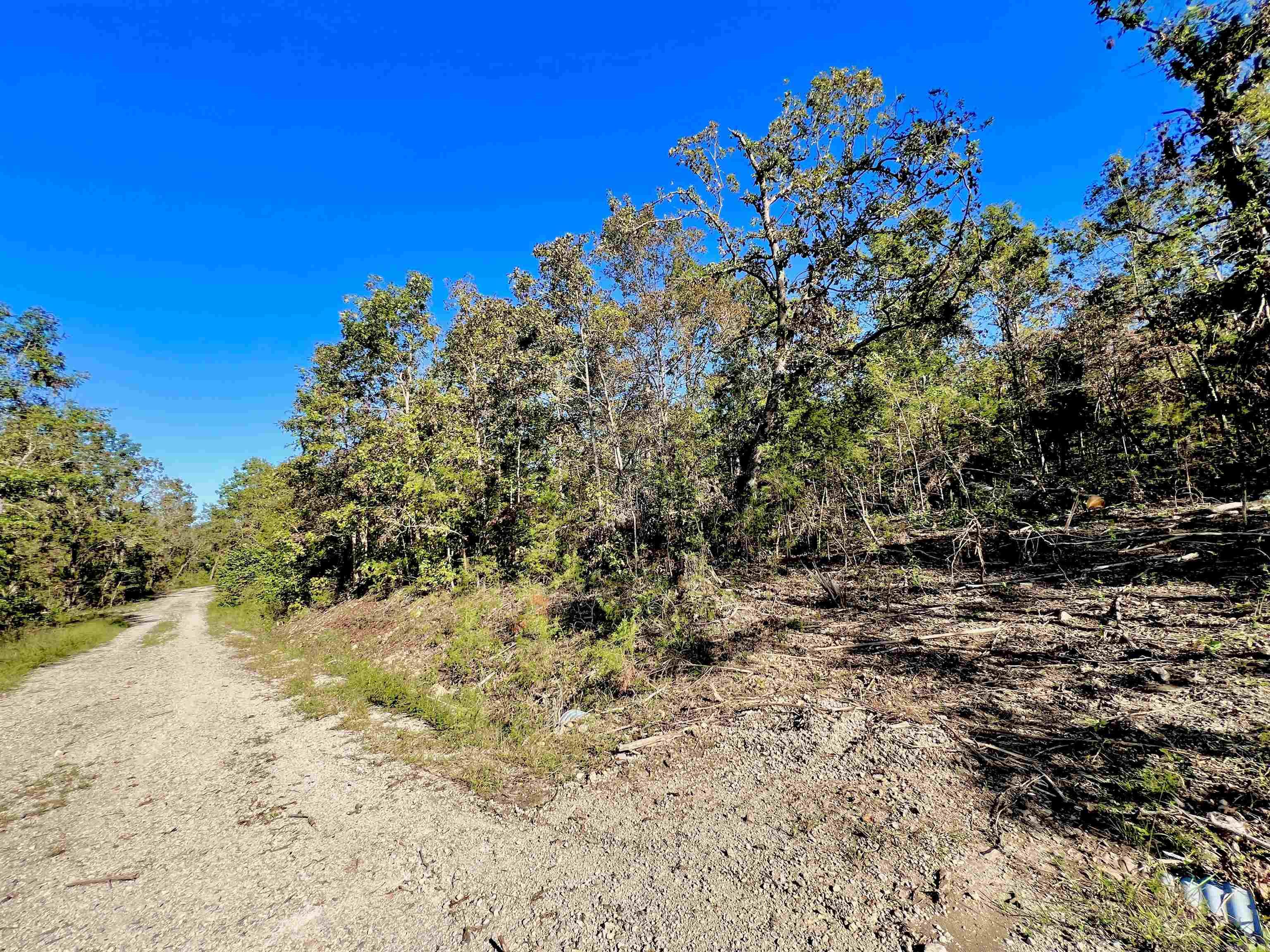 Briar Cliff Estates - Land