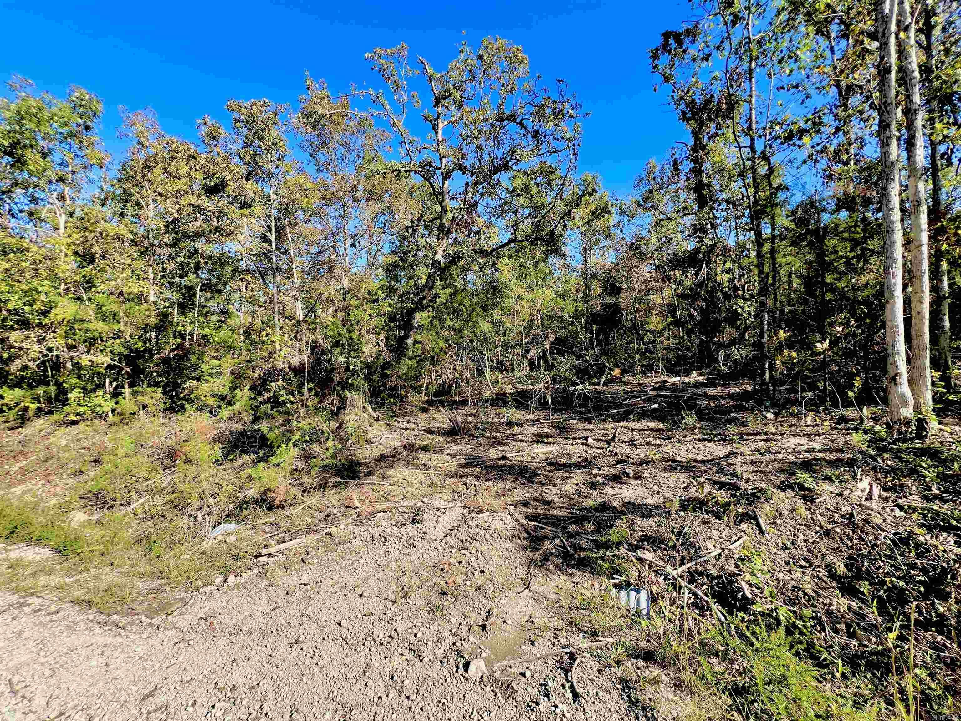 Briar Cliff Estates - Land