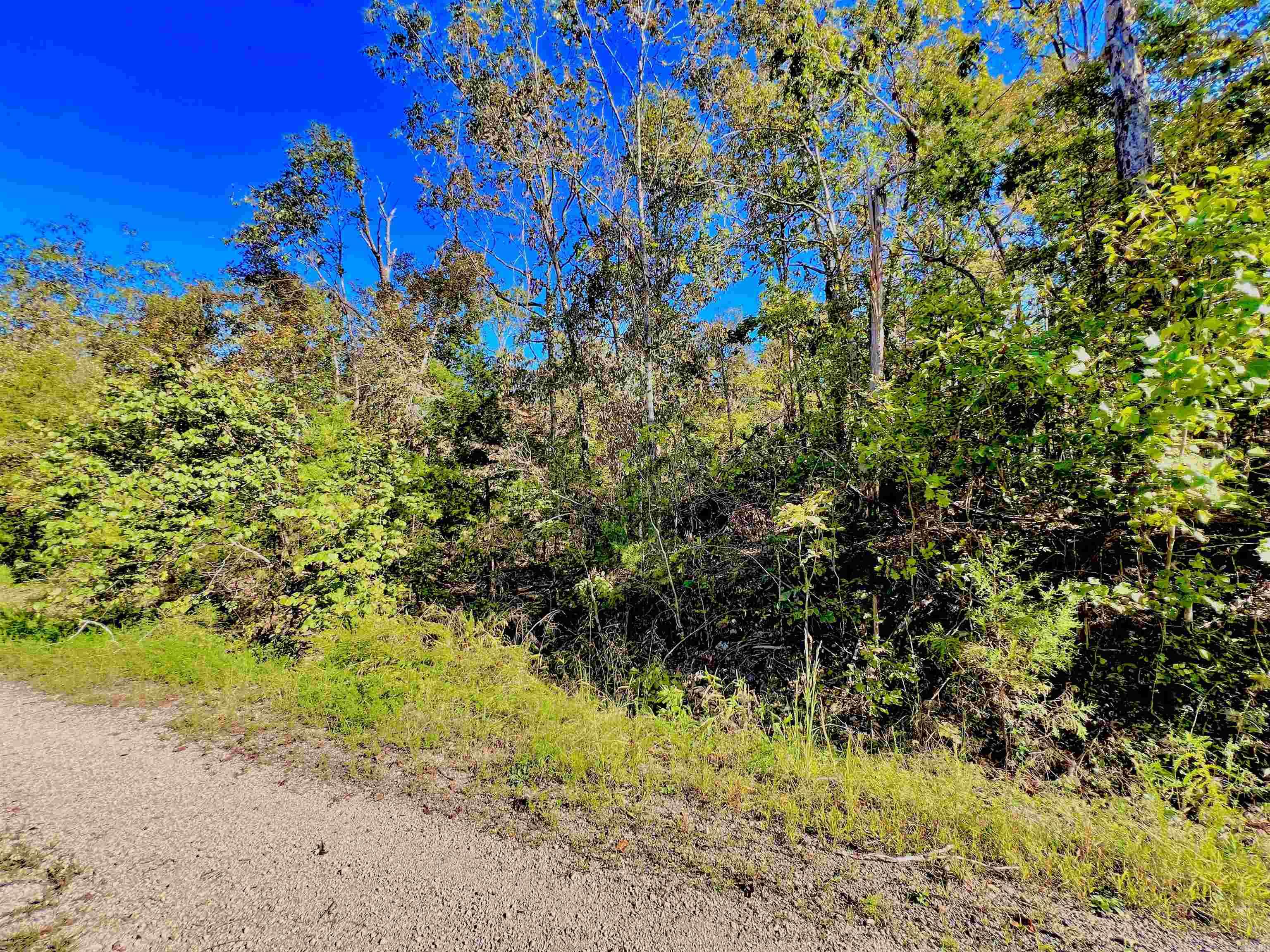 Briar Cliff Estates - Land