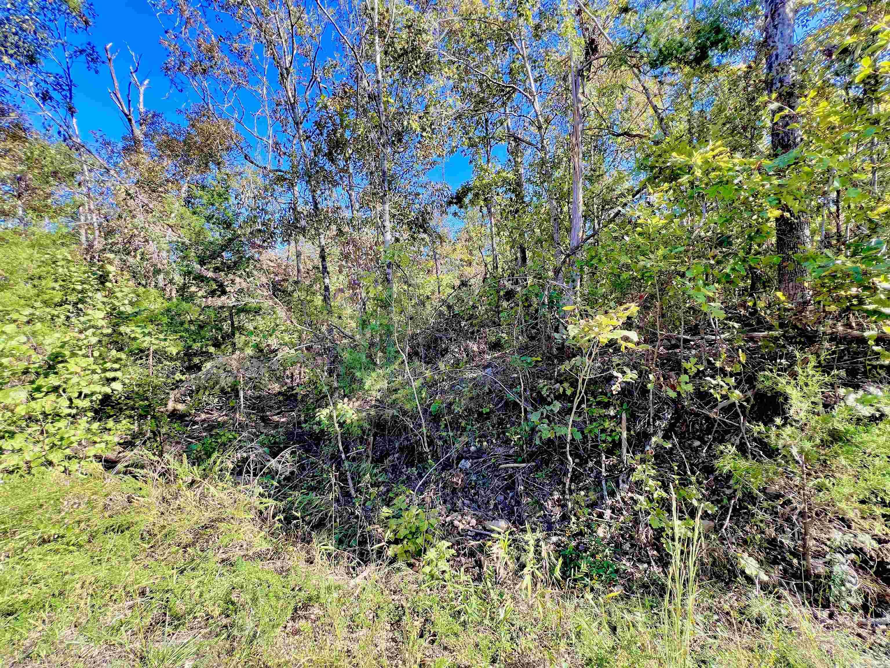 Briar Cliff Estates - Land