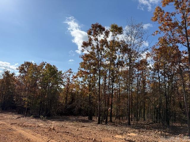 SUMMERLYN SUBDIVISION - Land