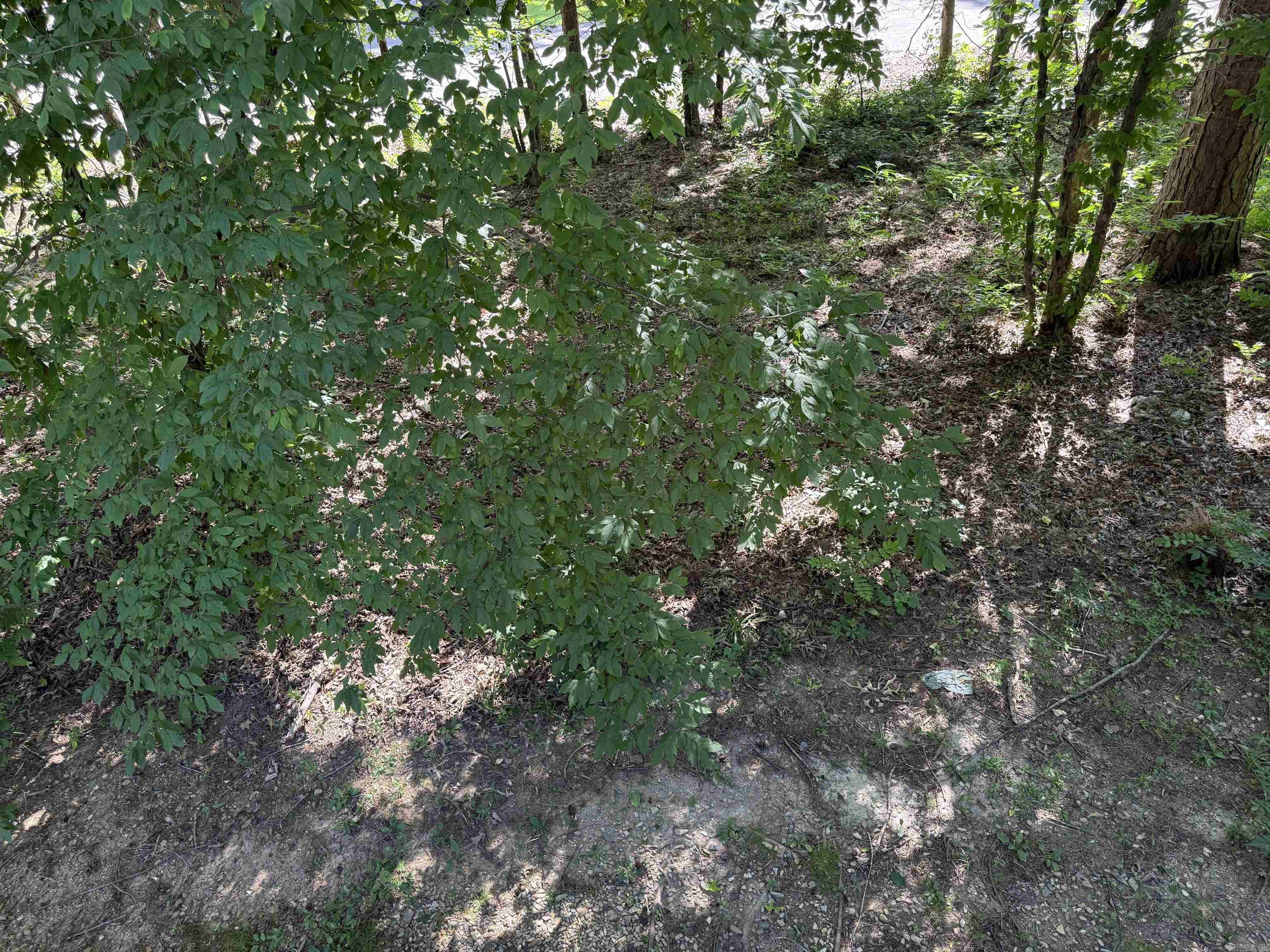 CORTEZ COURTS - Residential