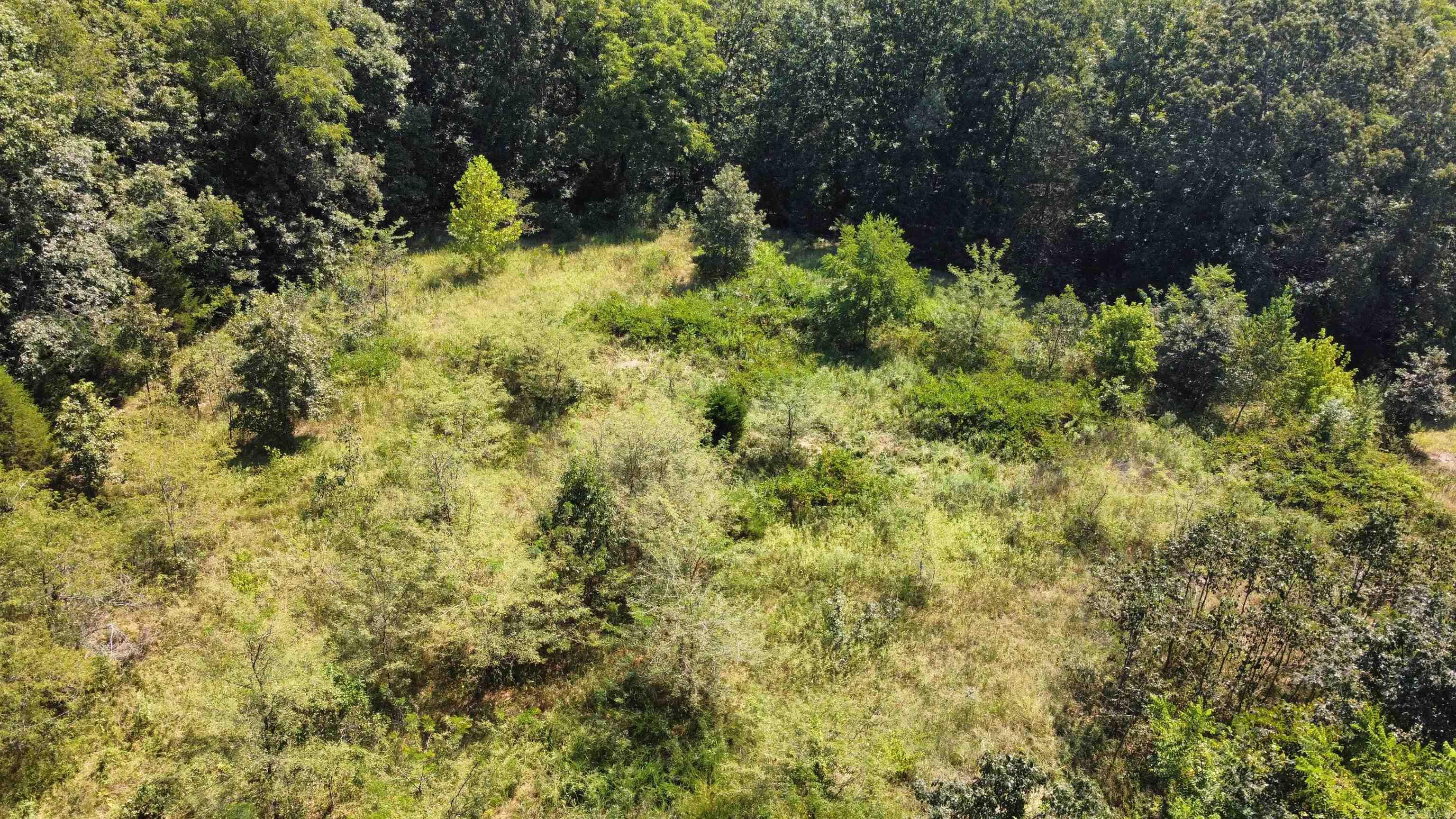 Great piece of acreage close to Mountain View and the Ozark National Forest. This land has a nice flat spot by the road for easy access and building. This would be a great spot for a new home in the country. Call today for a showing!
