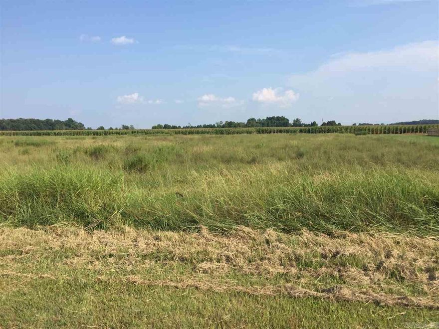 Come on out, and get a glimpse of what Lake life is all about.  Lots big enough for the avid gardener and a Lake stocked for the avid fisher.  Who doesn’t love from lake-to-table, from garden-to-table.  Mound Lake Estates is a true hidden gem, where everyone waves.  Sit on your back porch and watch the relaxing sway of the corn fields.  An out of city limits feel but still a close commute to necessities.  Restaurants, shopping, and grocery can easily be a 20-25 minute commute to North Little Rock, and about 15 minutes to England.  Little Rock AFB about a 25 minute commute.  Major distribution centers such as Lowes, Dollar General, Amazon, and Caterpillar Inc. about a 20 minute commute.  These Lots are level with gas, water, and electric available.  Community sewer available or septic, you get to make the choice.  Bring your Builder and house plans.  Architectural committee to approve house plans.  Mound Lake is accessed by a 150 foot boat ramp for adventurous fishing or just boating to relax and unwind.  Please see Agent Remarks.