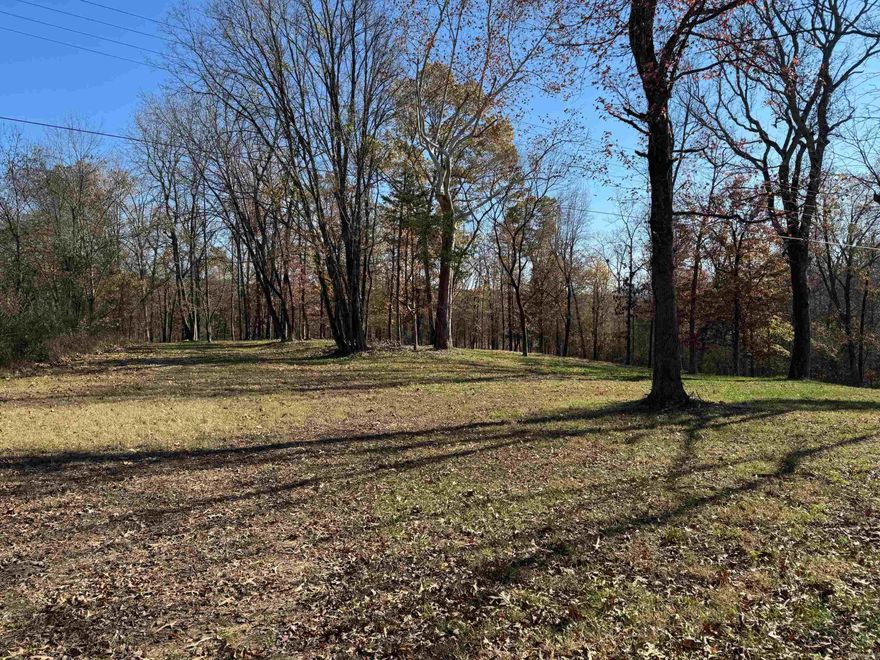 This 3.51 Acre piece of land is located in Hagarville.  Great location for a hunting cabin.  Property is does have an existing building on it, but it has no value.  This is being sold as just a land.