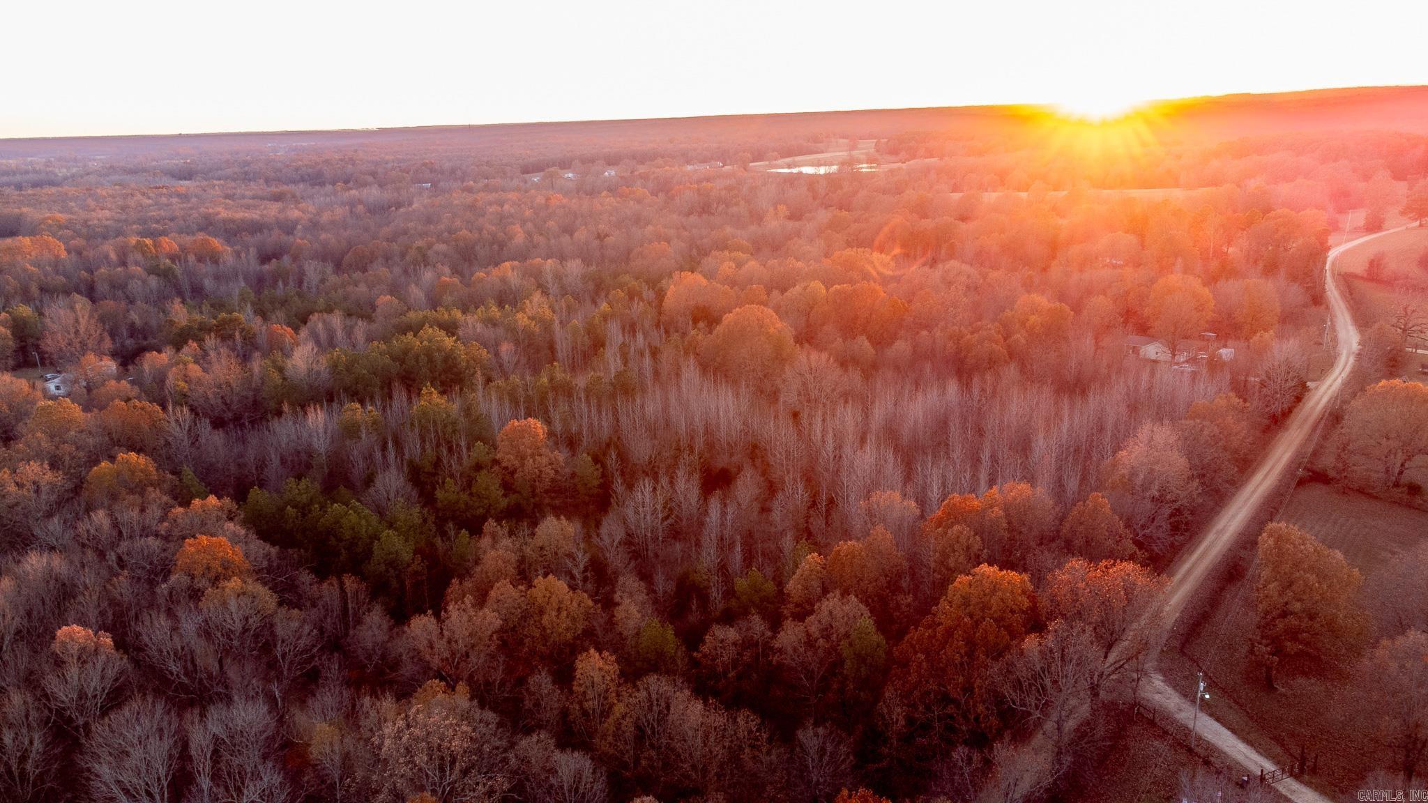 Located in the heart of the Finch community in Greene County, Arkansas, this 18.93 acre property offers the perfect opportunity to build your forever home. With 1,520 feet of road frontage and a roughed-in driveway on the southeast corner, access is already in place, making development straightforward and convenient. Rural water, electricity, and fiber are available at the road, ensuring you have the utilities necessary to create a comfortable and modern living space. The property’s location provides an ideal blend of rural seclusion and accessibility to nearby amenities. Just 4.5 miles from Lake Frierson State Park, you’ll enjoy easy access to outdoor activities such as fishing, hiking, and boating. For shopping, dining, and entertainment, the property is conveniently situated 13 miles from Jonesboro and 14 miles from Paragould. Whether you’re looking for a private retreat or a well-connected homesite, this property is a rare find in a growing area.