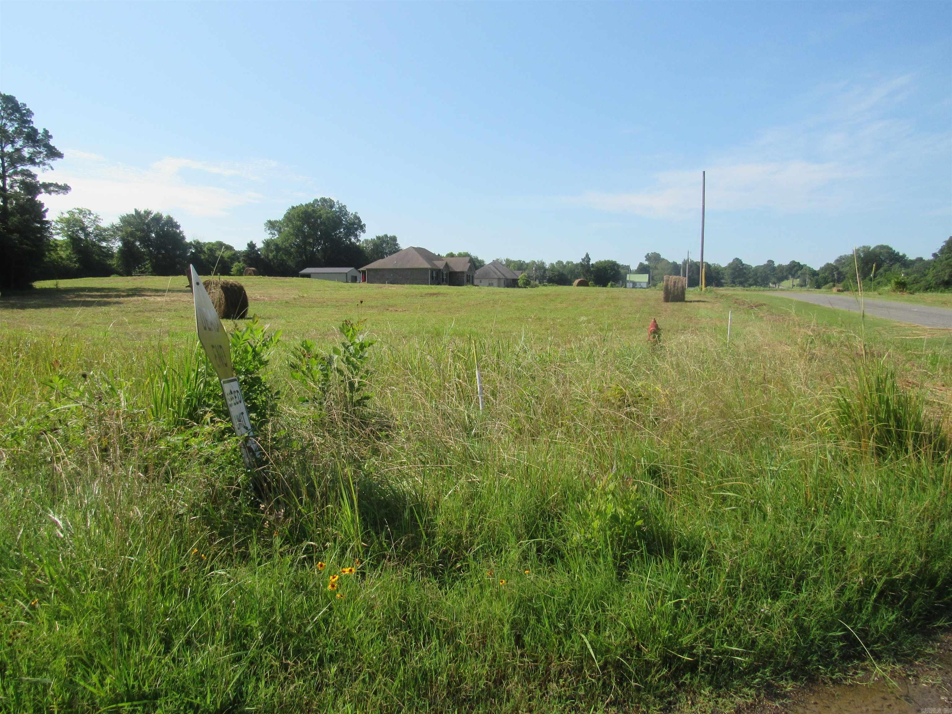 Beautiful views of Lake Overcup. Corner lot with impressive homes already in the subdivision. Restrictive covenants will not allow mobile homes or temporary structures. Minimum square footage is 1600 sf. Quick travel to I-40 and to Morrilton for shopping.
