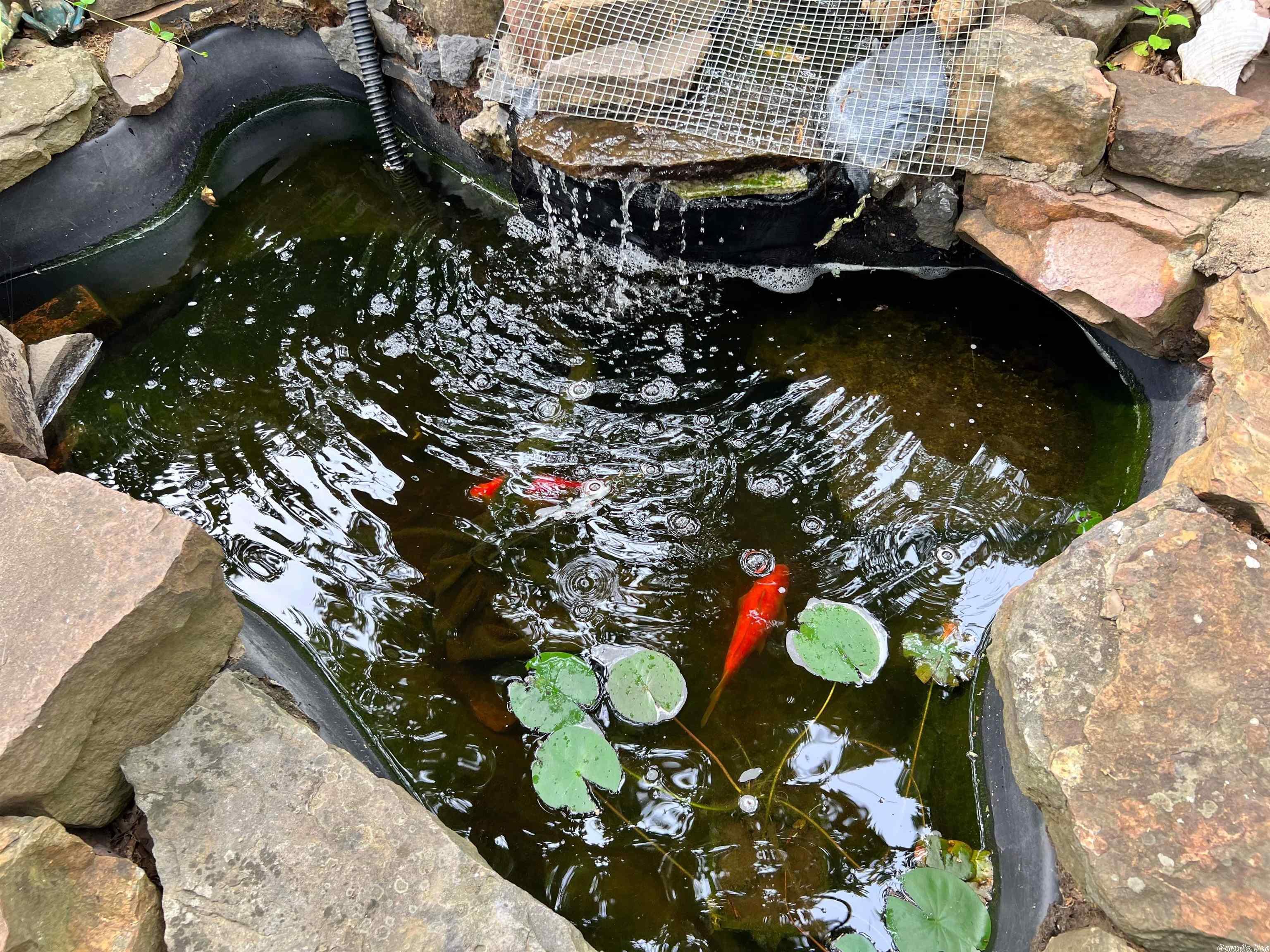 Sun Terrace Estates - Residential