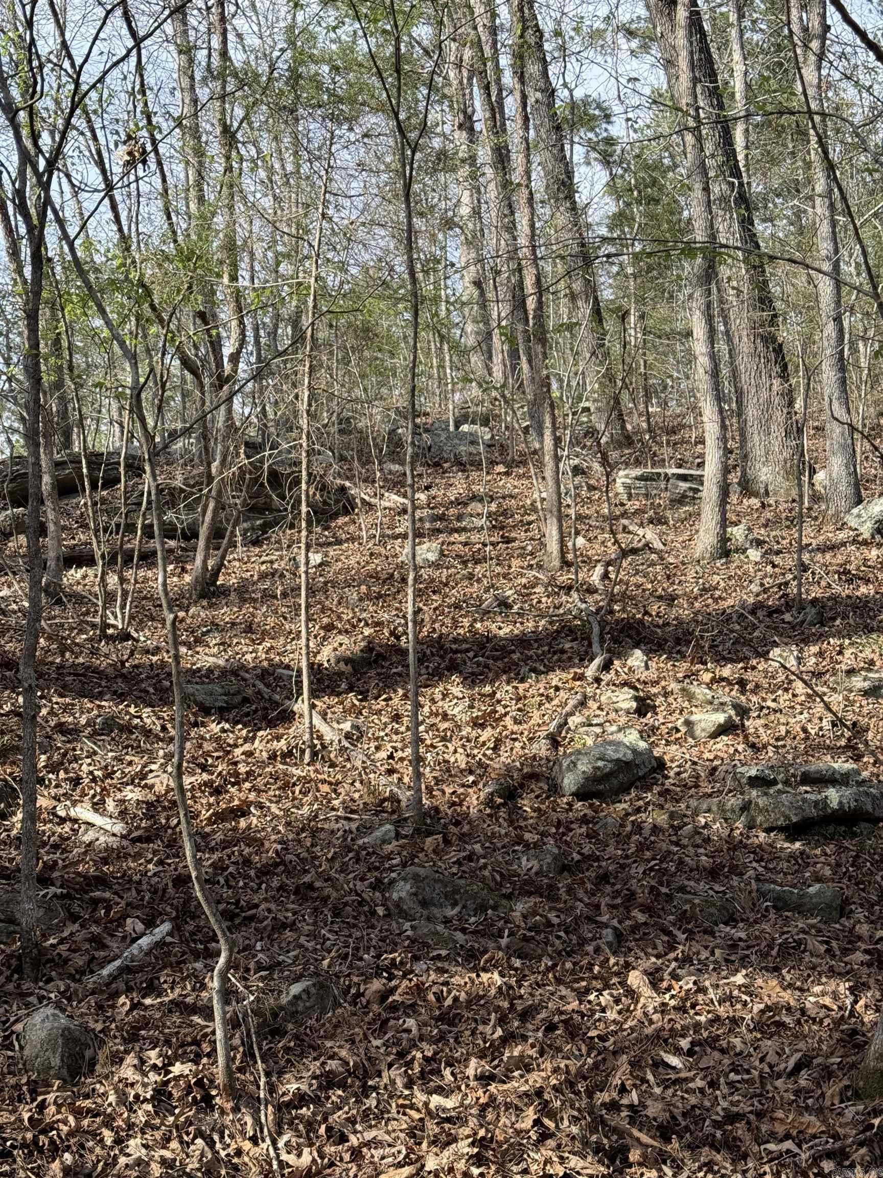 RUDDLE HEIGHTS ADD - Land