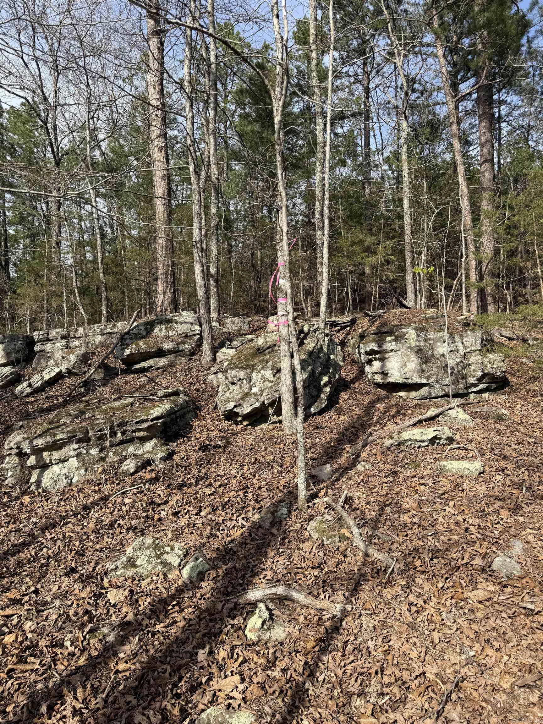 RUDDLE HEIGHTS ADD - Land