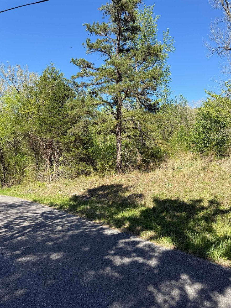 Excellent 3.01 acre building lot in a fantastic location just a 1 minute drive from Anglers Resort and the boat ramp at Sylamore Creek Access to the White River. The lot has paved road frontage and lays very well, has several buildable options, has a natural plateau in the center or build further back in the timber next to the natural rock formations. With minimal clearing lot will have excellent mountain and possible River views. Survey just completed Contact Ricky Harris for guided tour 901-870-7216
