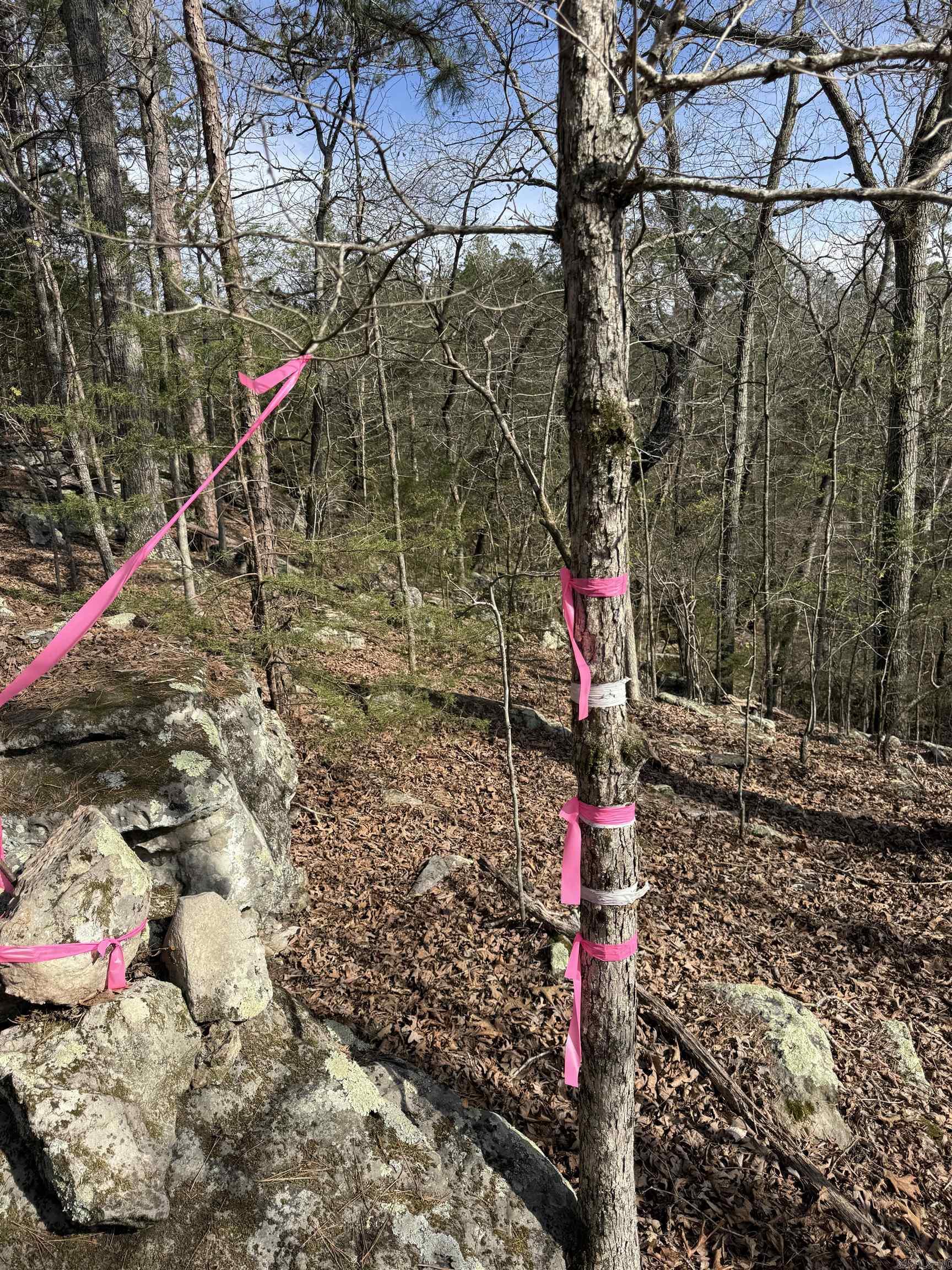 RUDDLE HEIGHTS ADD - Land