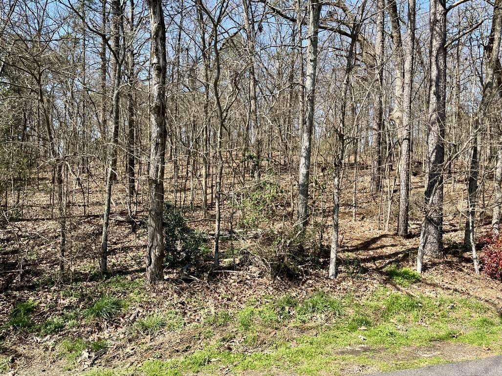 Cleveland Shores - Land