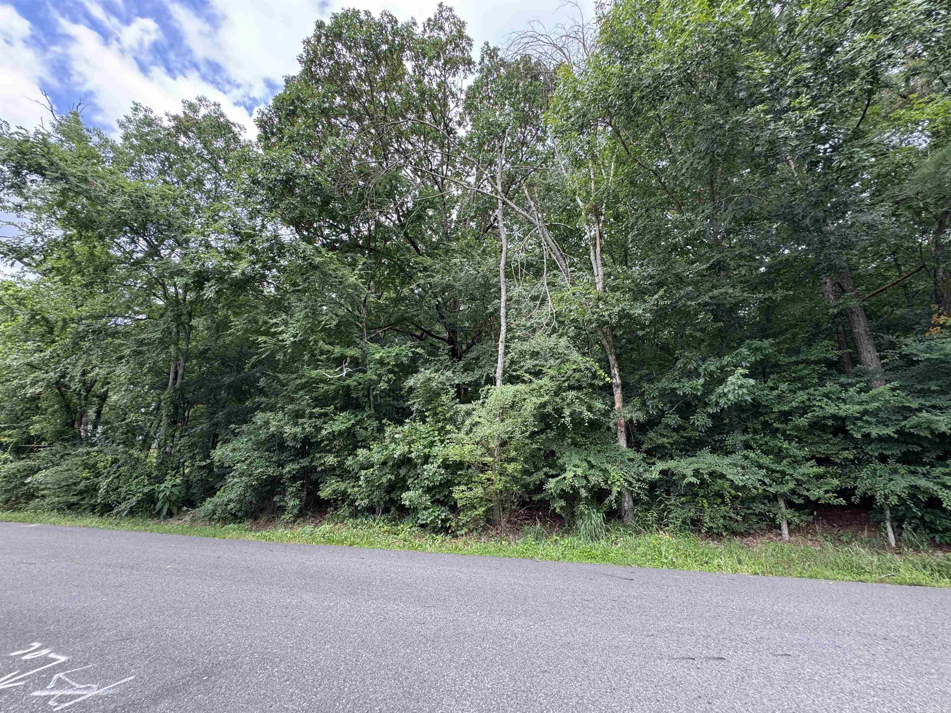 Large 1 acre buildable lot with amazing lake views. Just past the Fish Hatchery. Build your dream home in a lake neighborhood without the Lake prices. Seller does not have a survey. Water and sewer at street according to City of Hot Springs website (See attached picture).