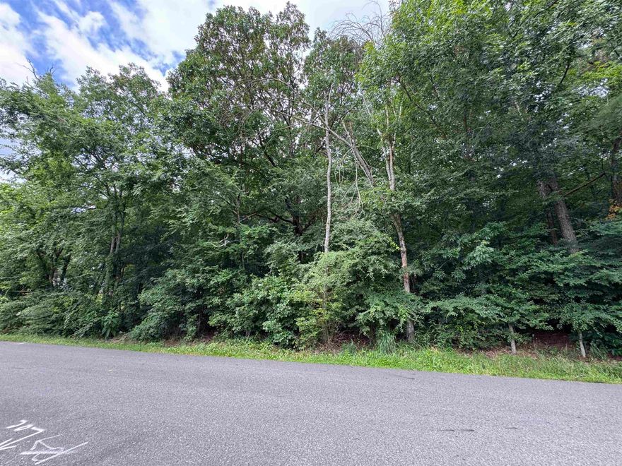 Large 1 acre buildable lot with amazing lake views.  Just past the Fish Hatchery.   Build your dream home in a lake neighborhood without the Lake prices.  Seller does not have a survey.  Water and sewer at street according to City of Hot Springs website (See attached picture).