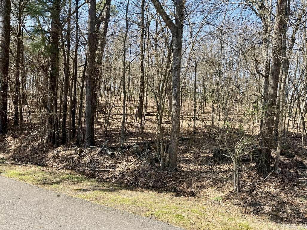 Cleveland Shores - Land