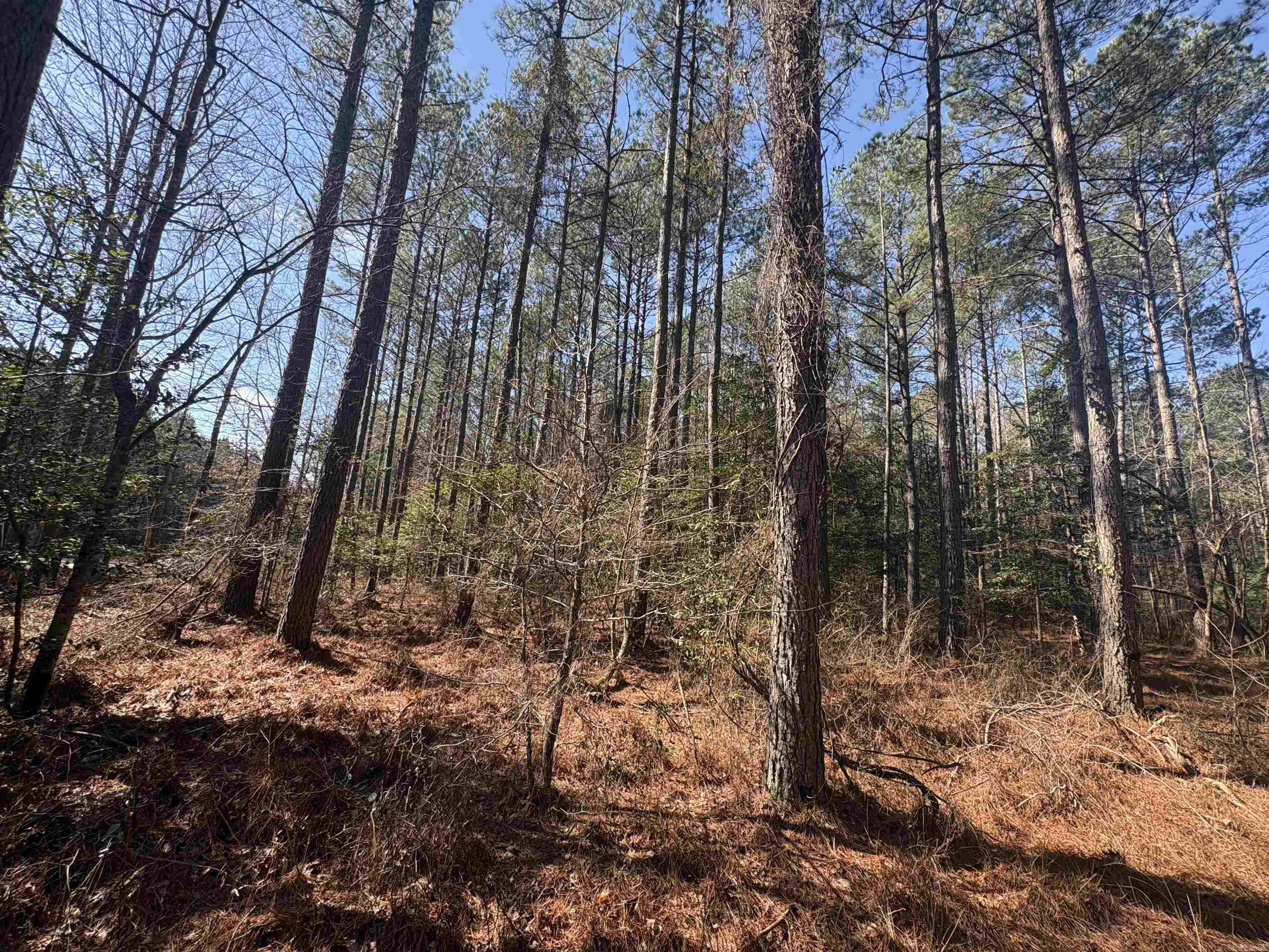 Metes & Bounds - Land